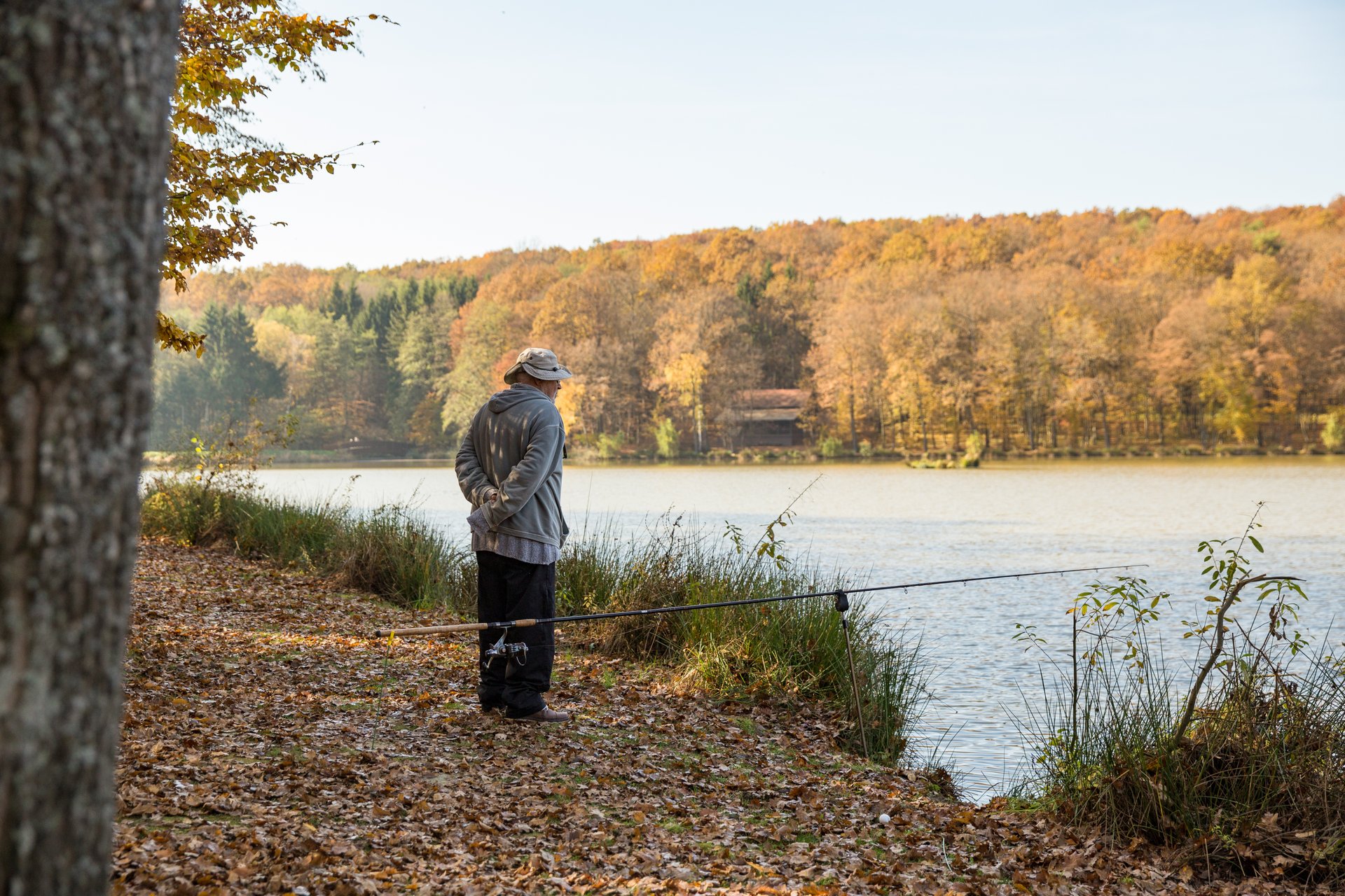 Best time for Angling in Slovenia 2024 - Best Season 