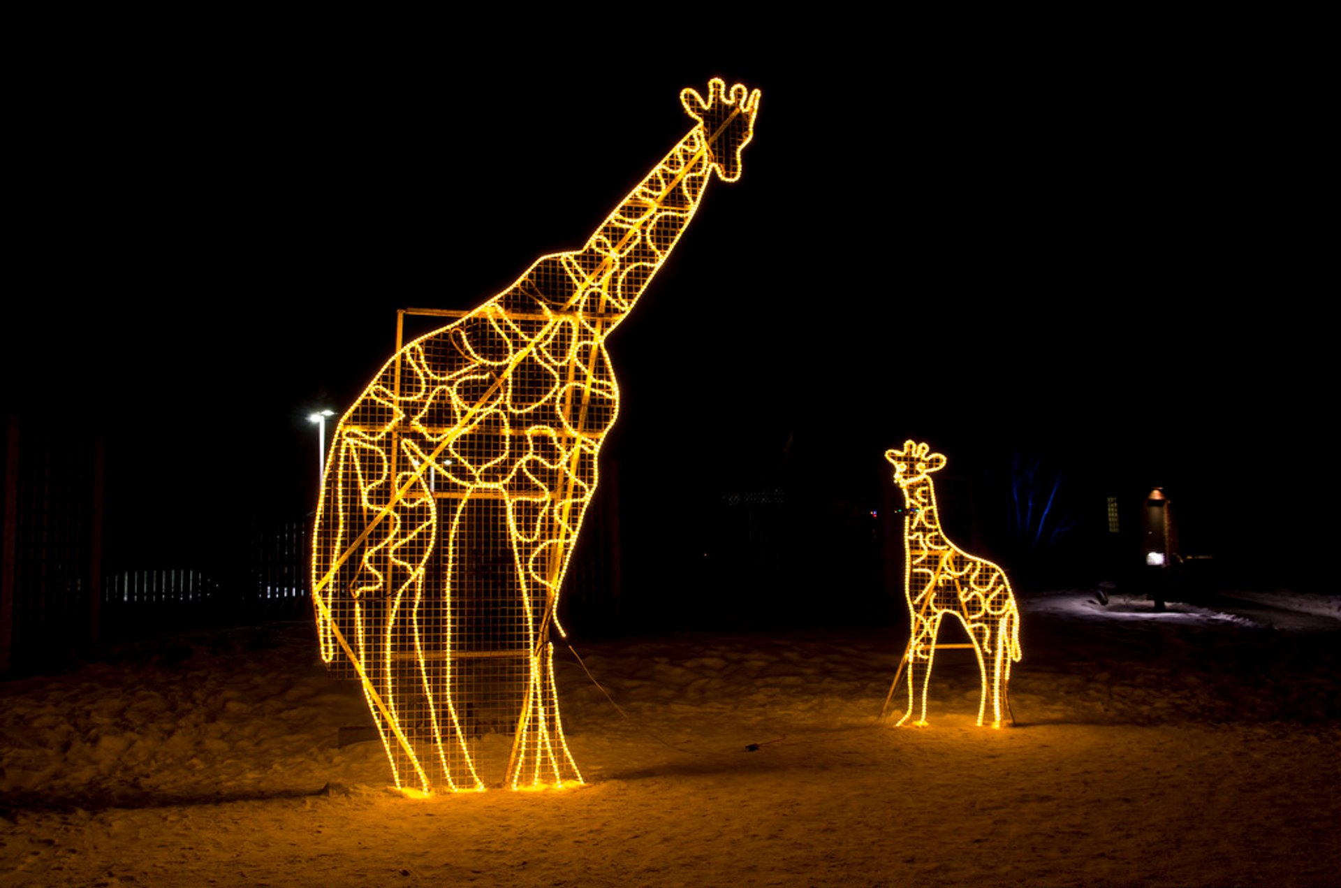 Calgary Zoo Lights Directions 27 How to Plan a Wedding Step by Step