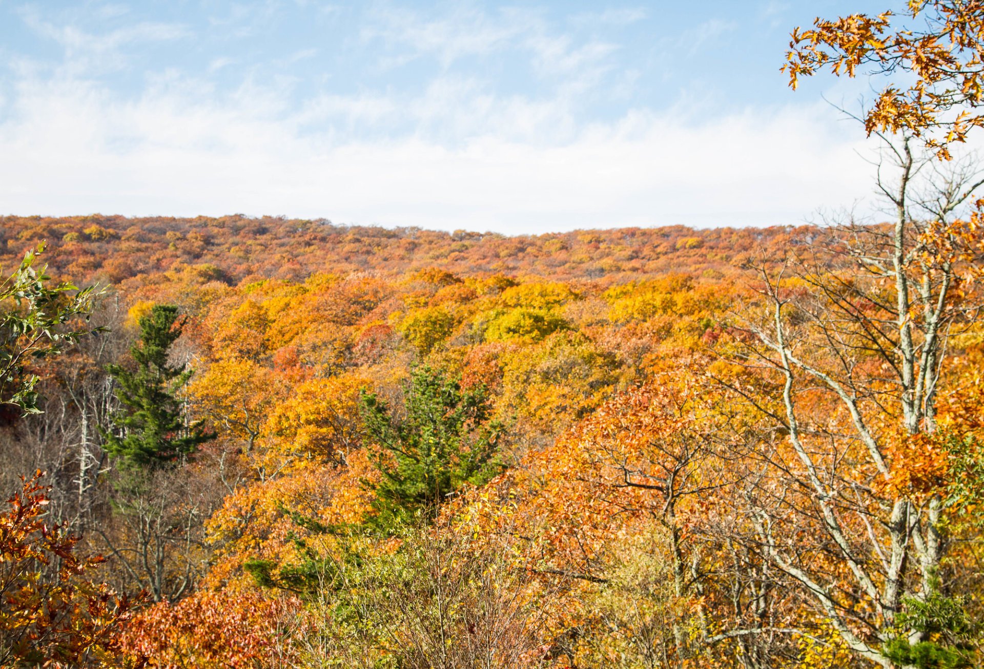 Parque Nacional de Shenandoah en otoño.