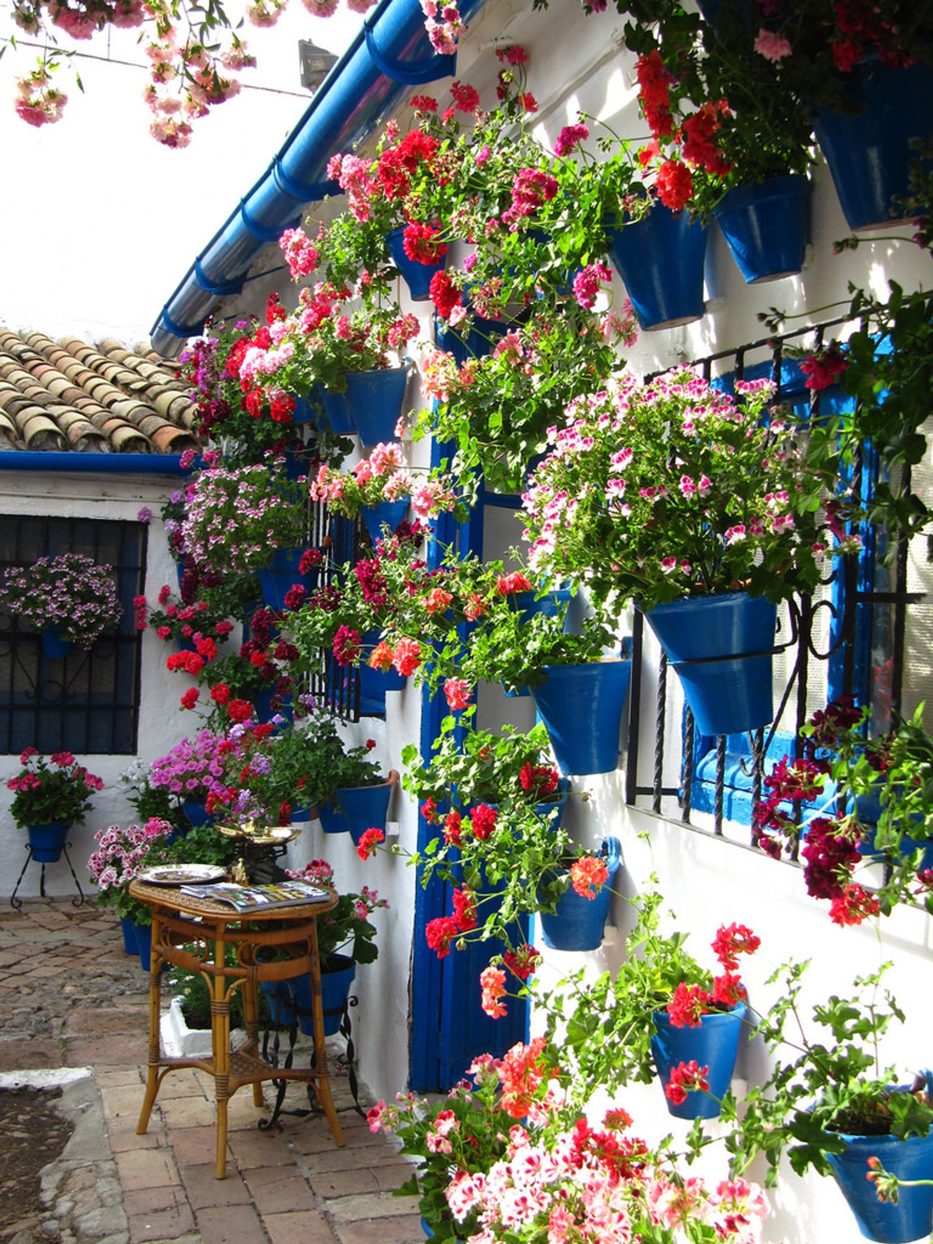 Córdoba Patio Festival (Fiesta de los Patios de Córdoba)