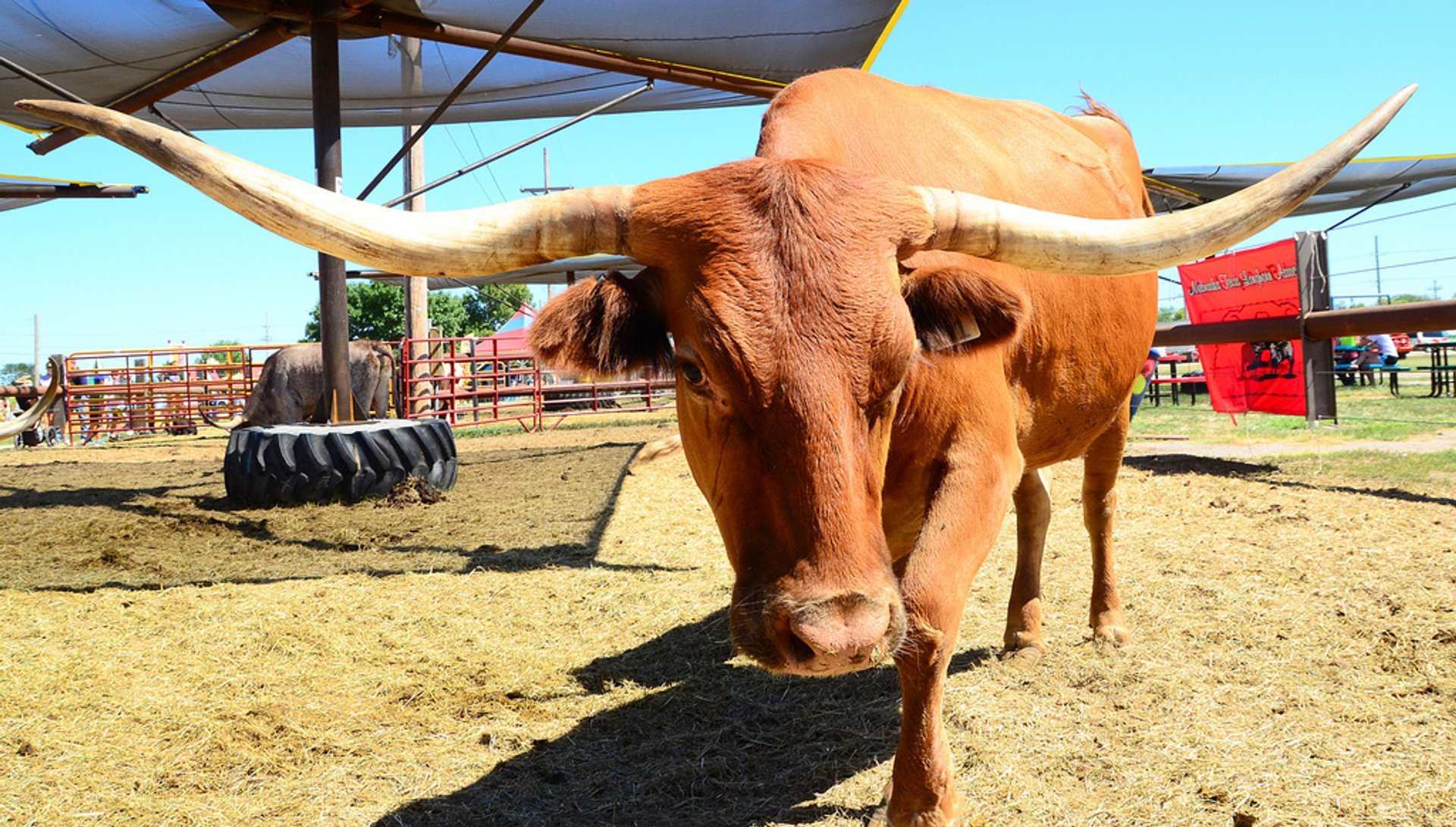 Nebraska State Fair 2025 in Midwest Dates