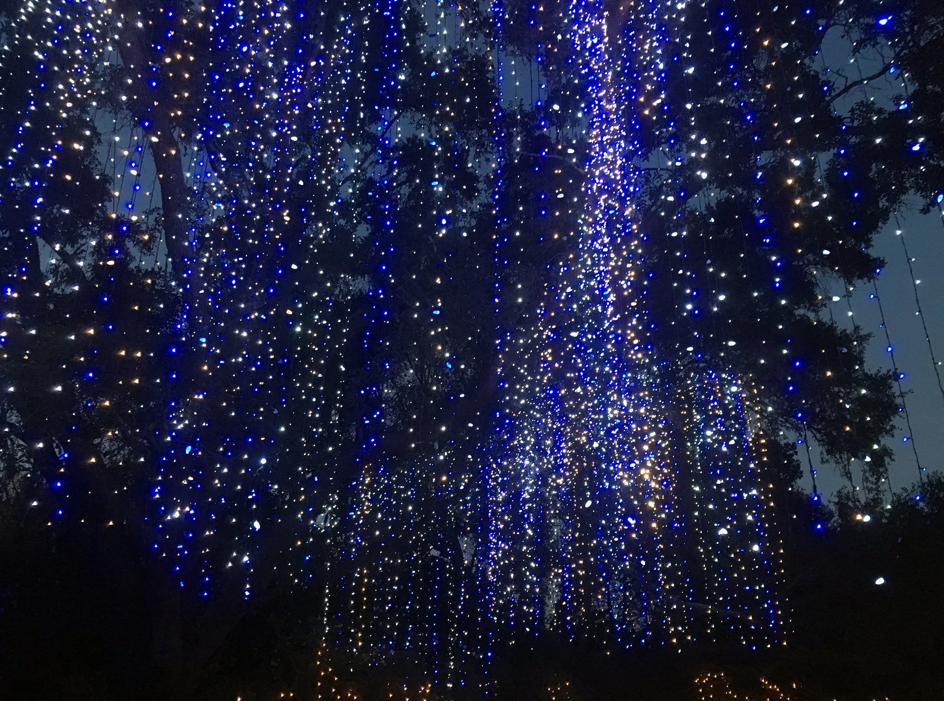 Christmas Lights in Alabama