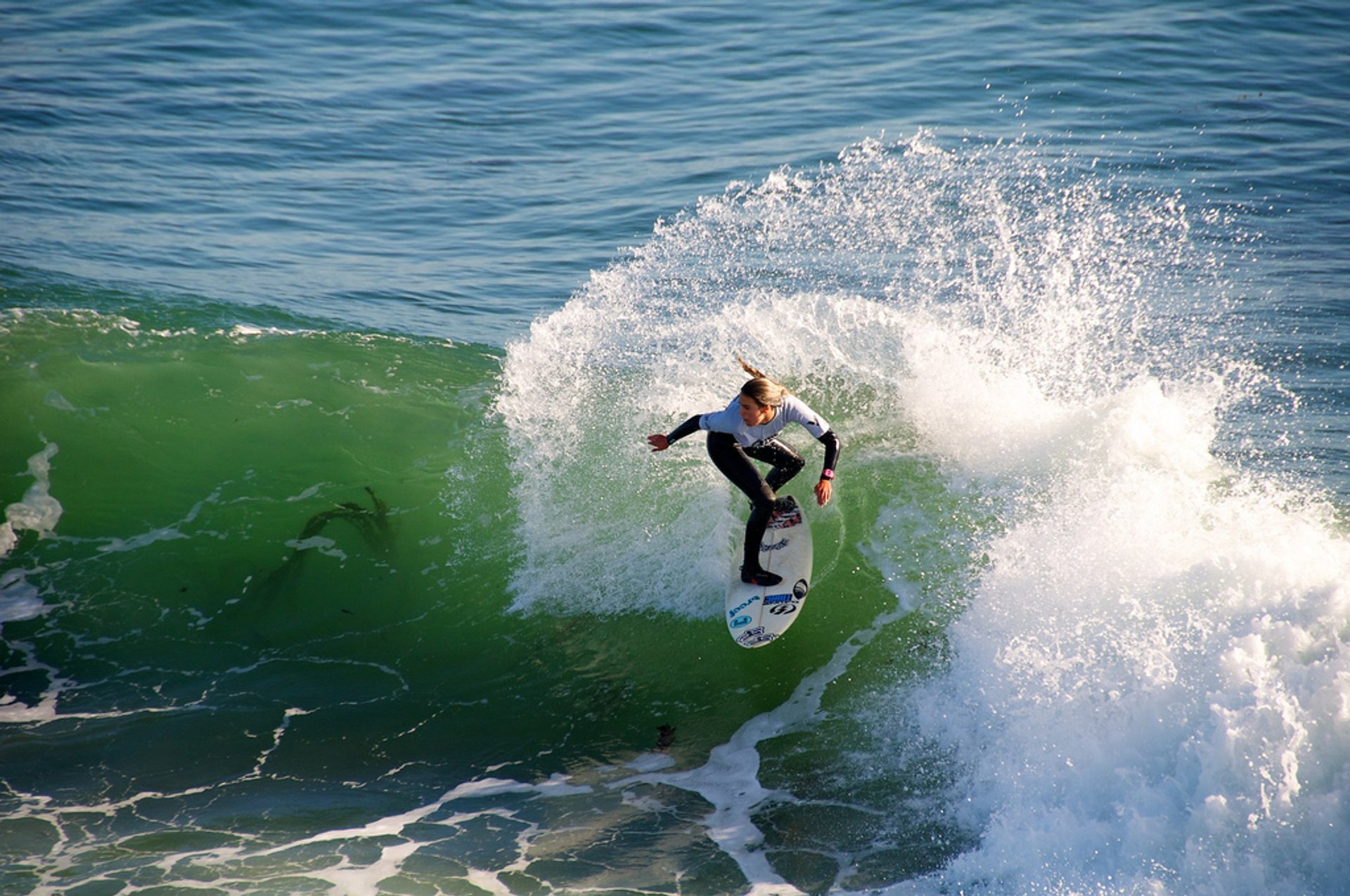 Surfen oder Wellenreiten