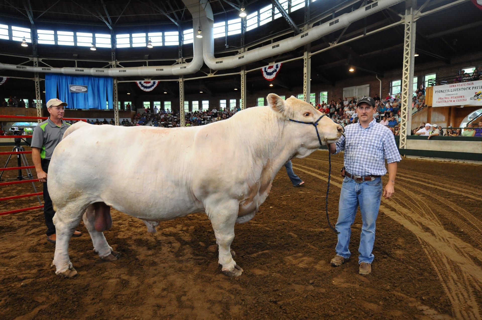 Fiera dello Stato dell'Iowa