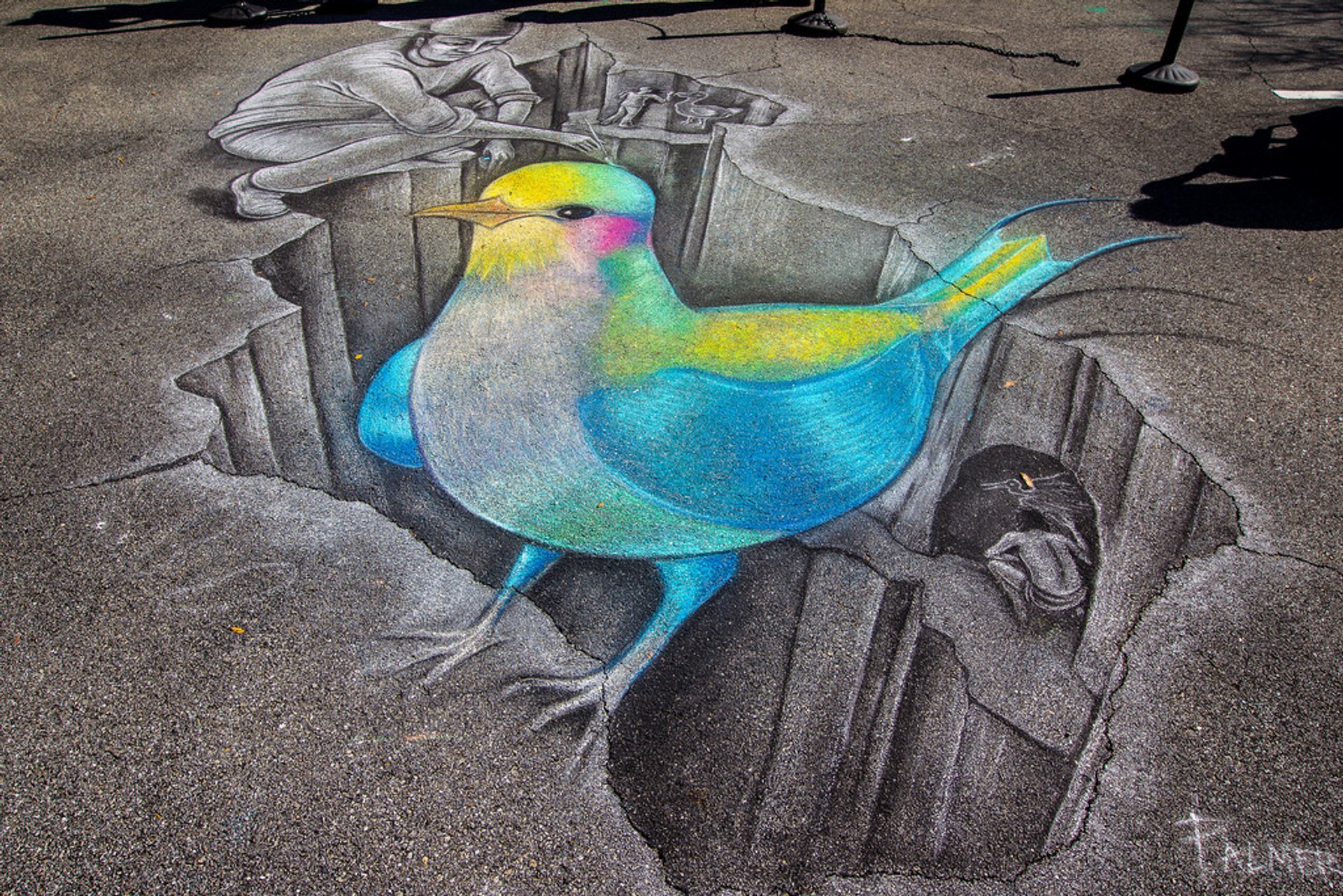 Chalk Festival in Sarasota 2024, Florida Rove.me