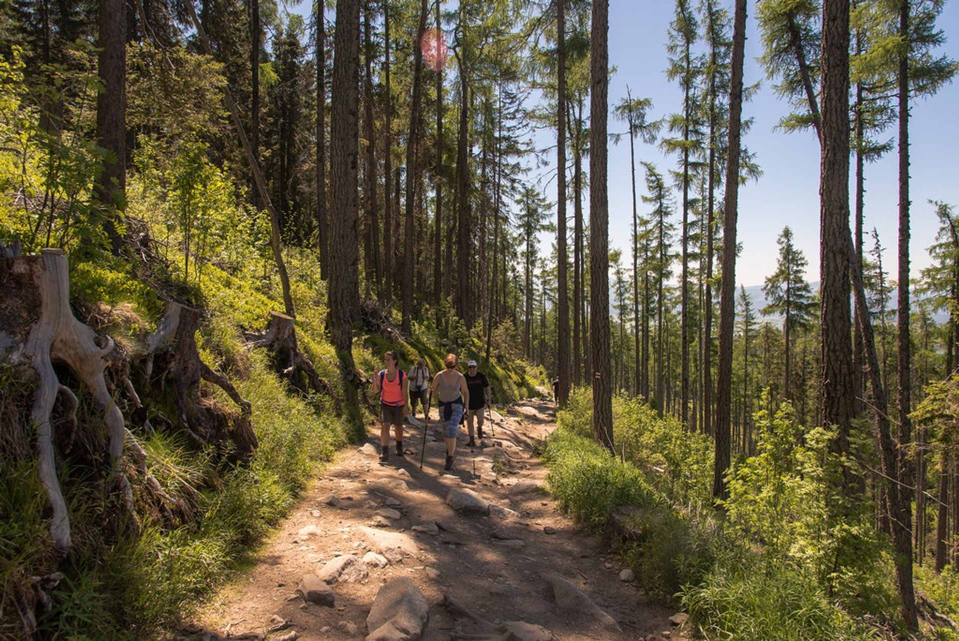 Hiking in the Tatra Mountains