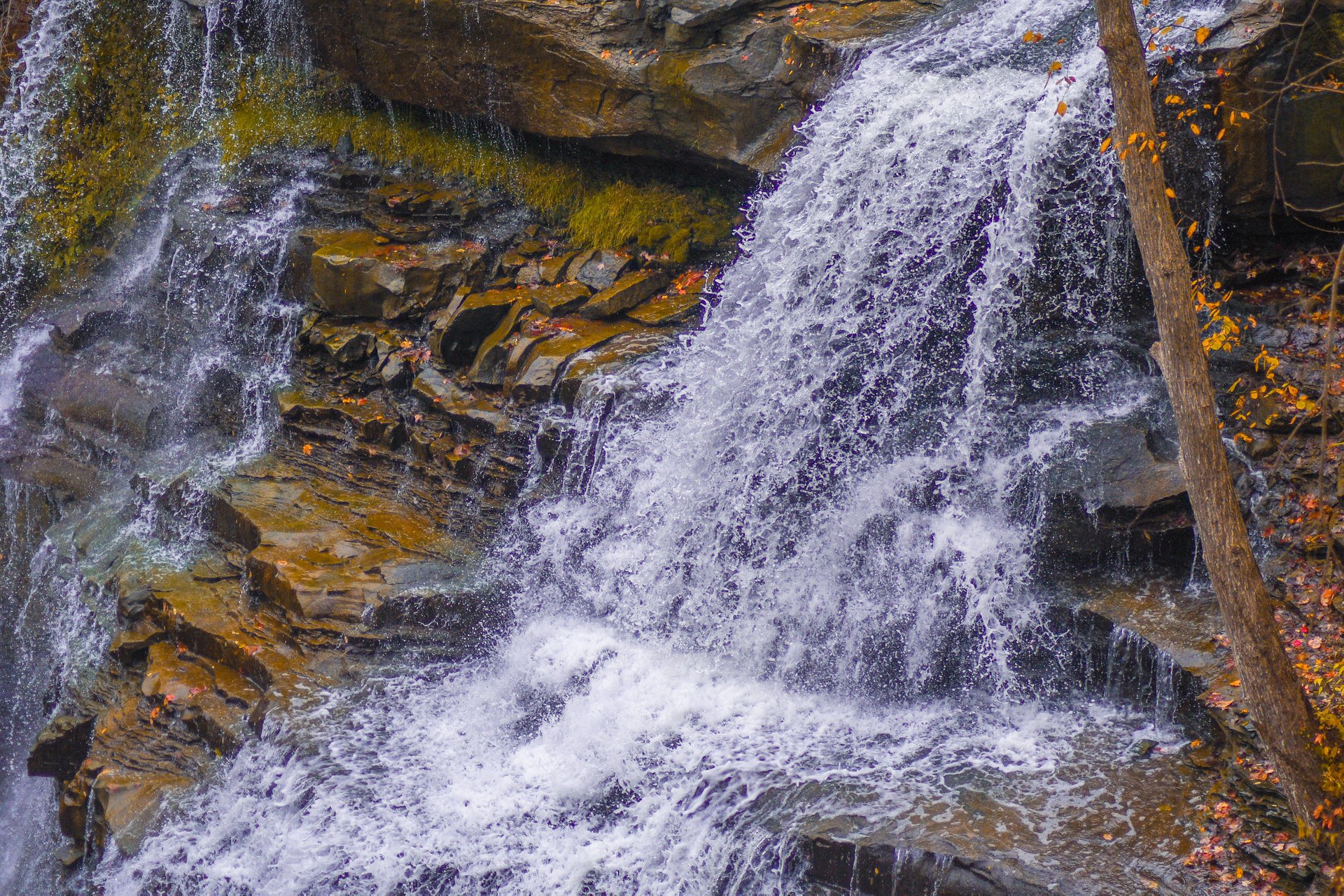 Brandywine Falls