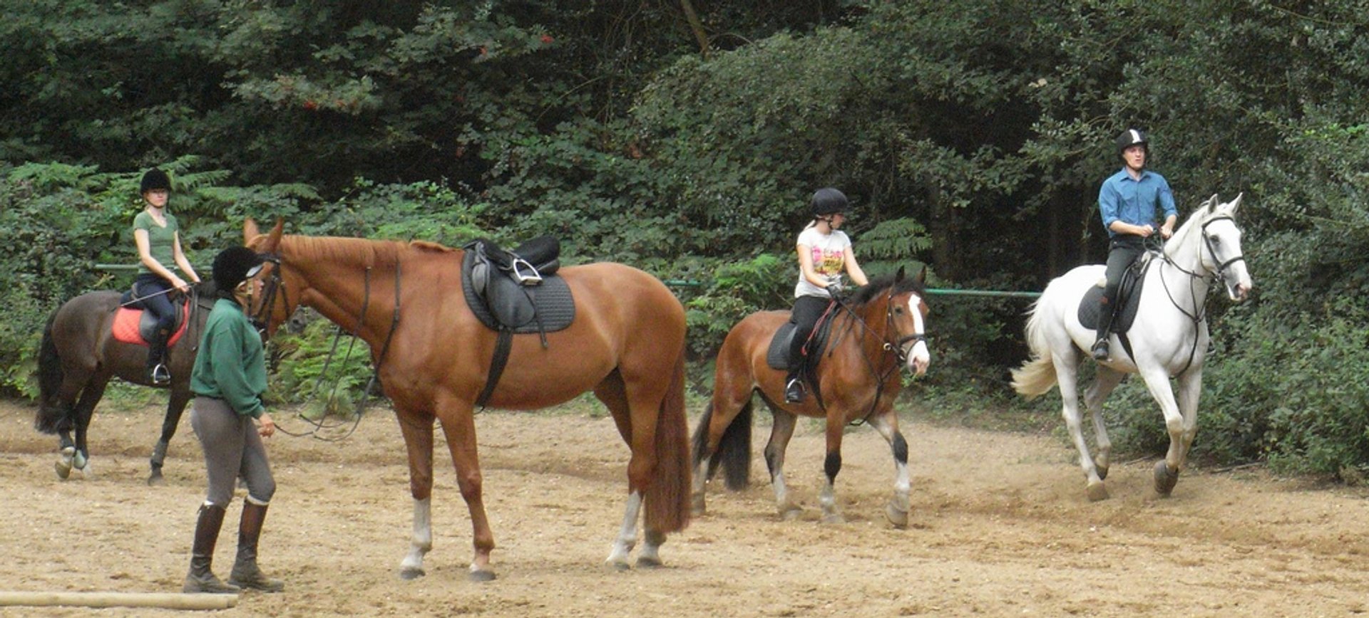 Horse and Pony Riding