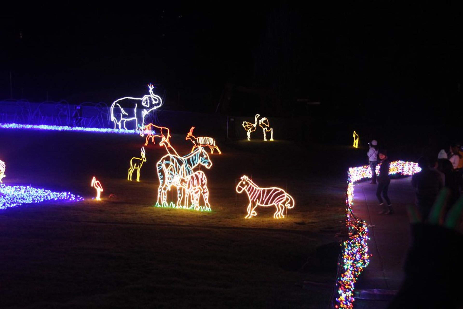 Luci di Natale di Oregon