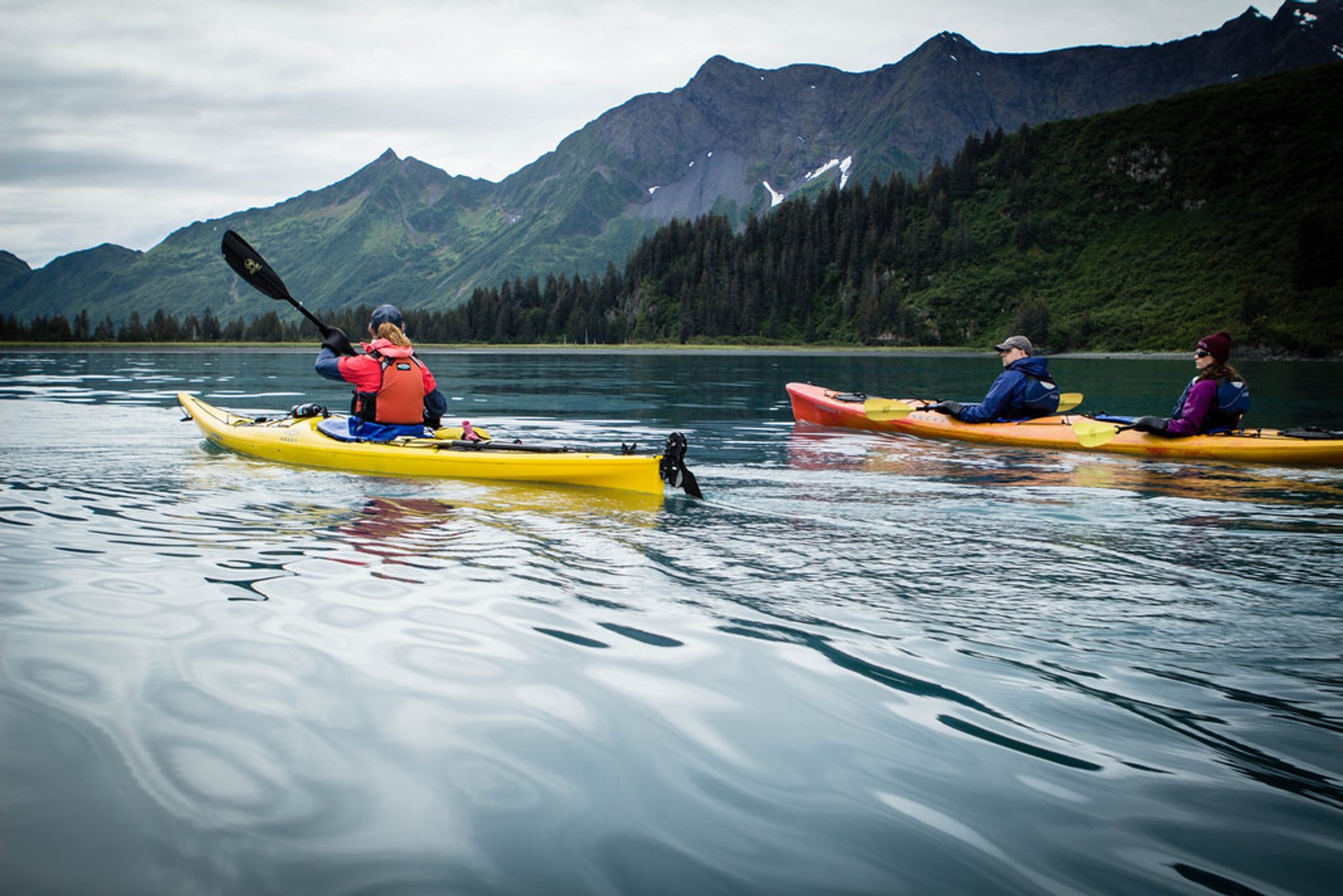 Kayak dans les Kenai Fjords