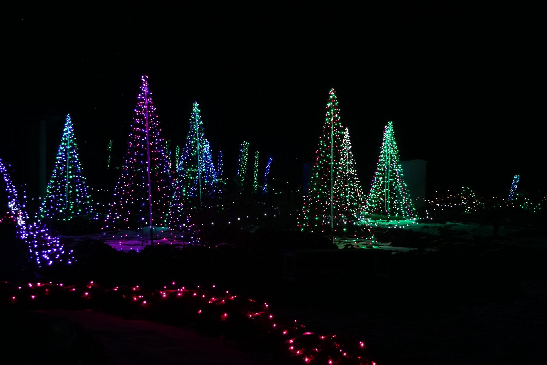 cal expo christmas lights 2021