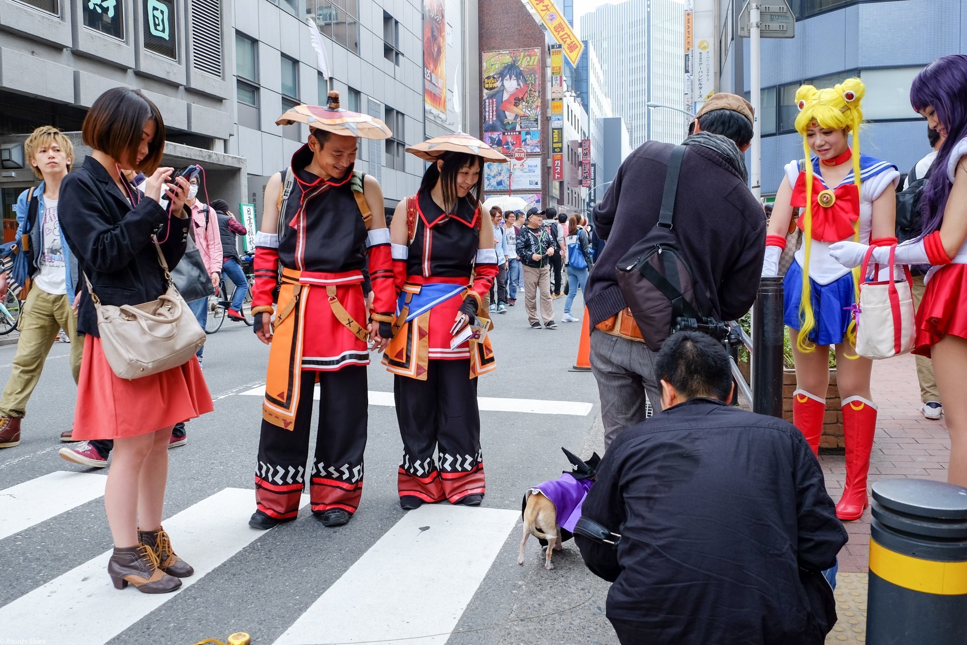 Halloween in Tokyo: Shibuya & Ikebukuro Events - Rental Homes Nearby