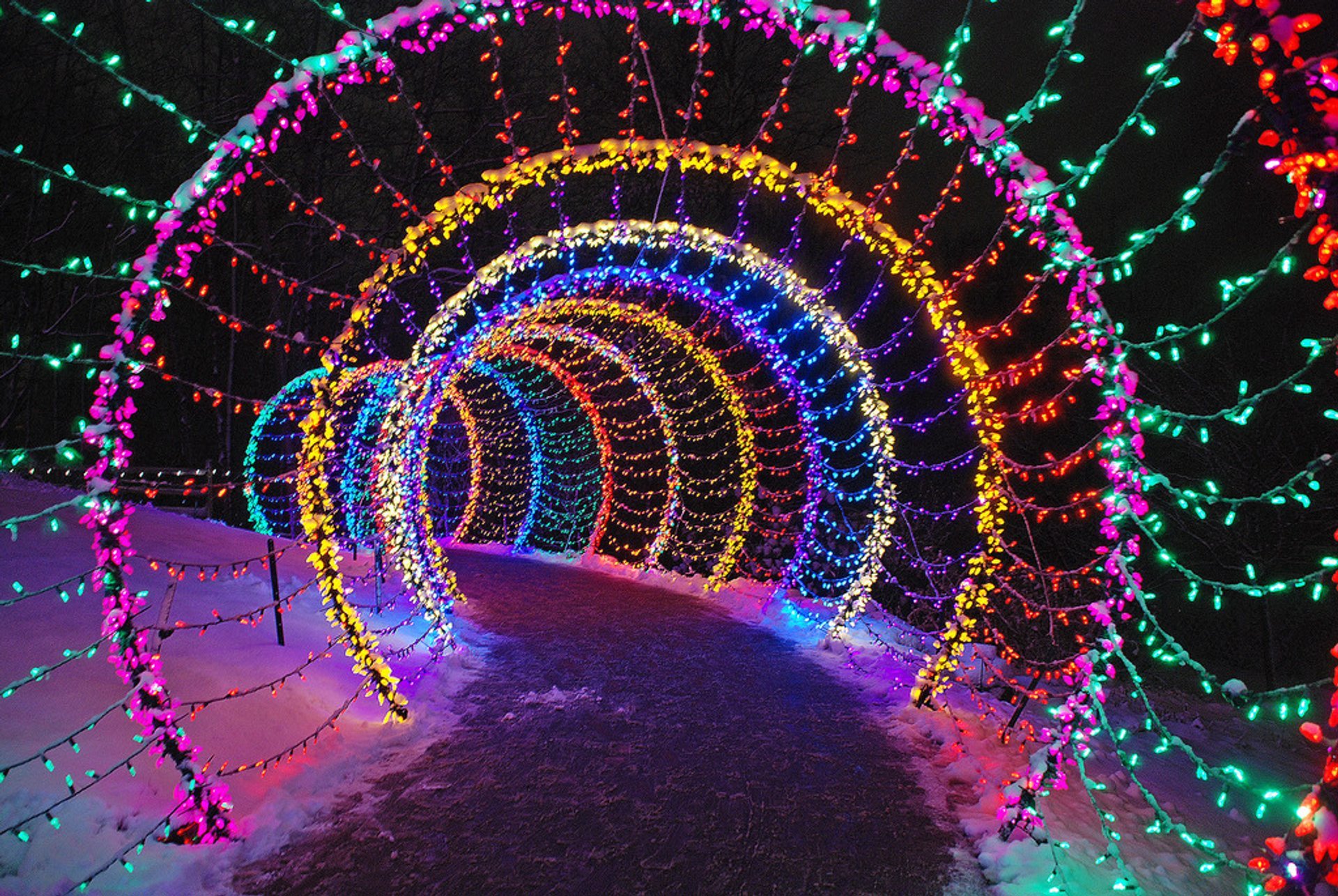 Garden of Lights en el Jardín Botánico de Green Bay