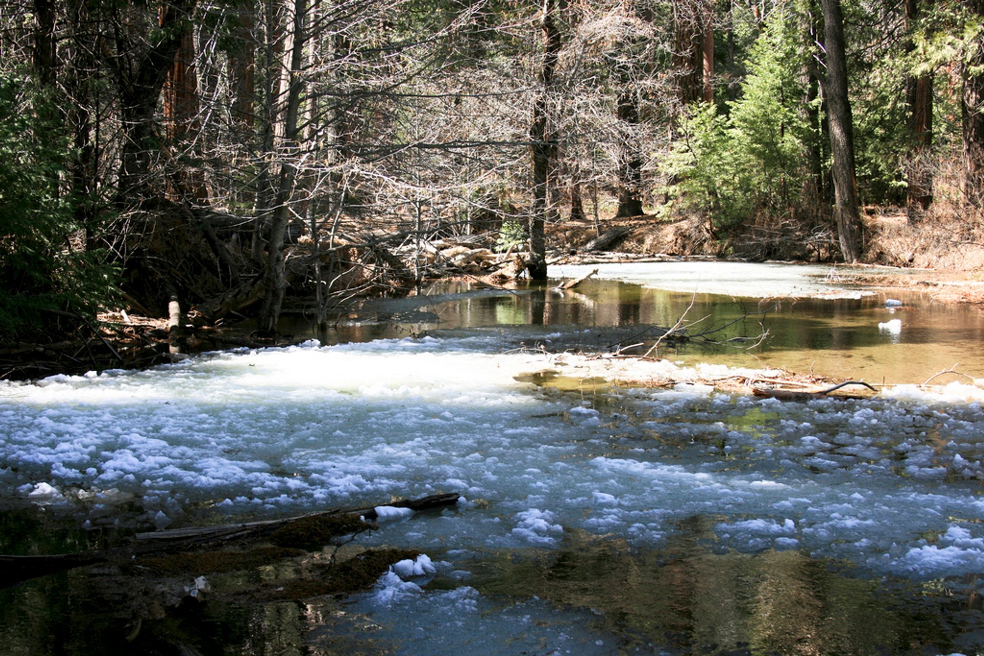 Frazil-Eisphänomen in Yosemite Falls