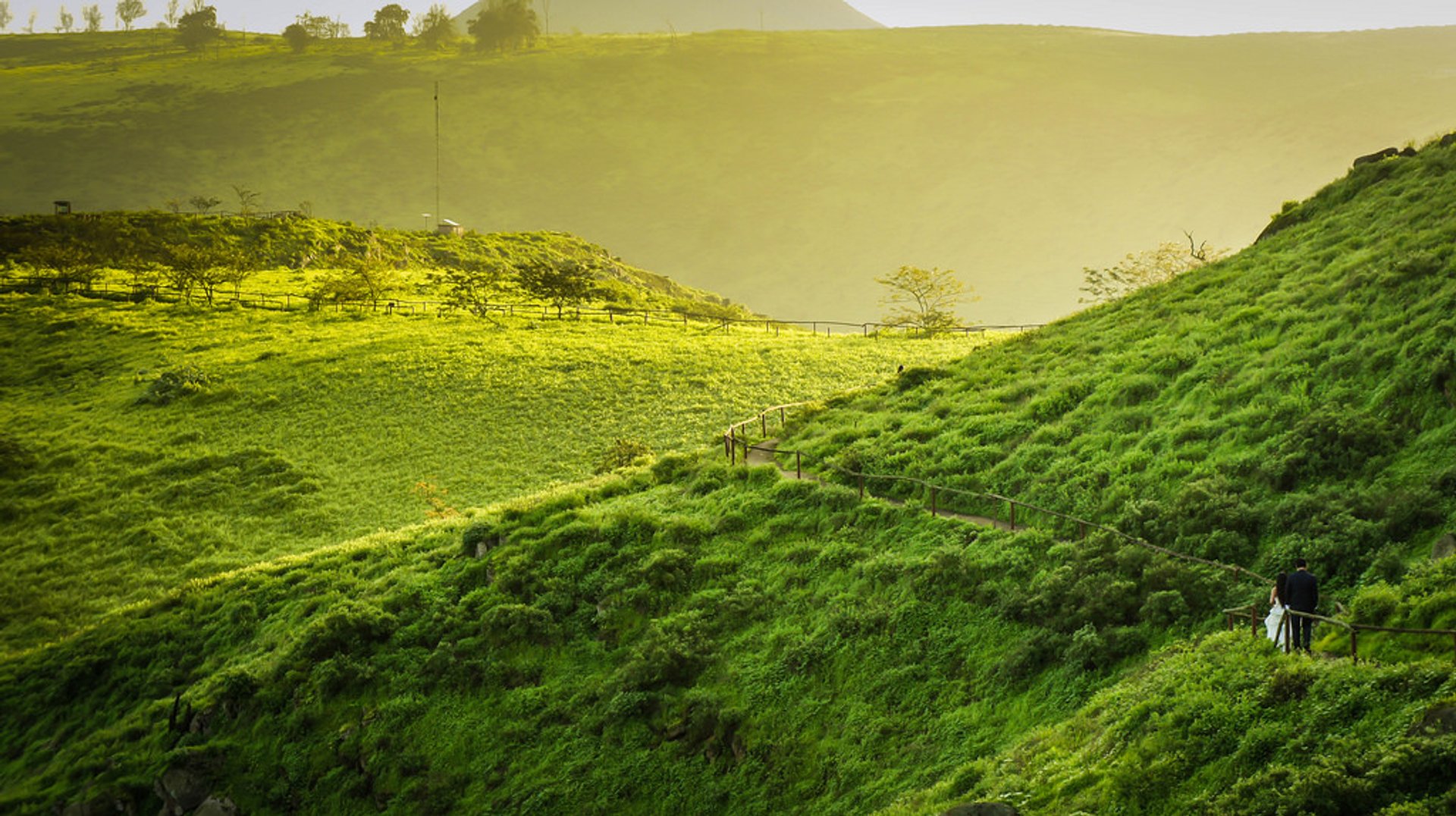 Hiking in National Reserve Lomas de Lachay in its Greenest Months