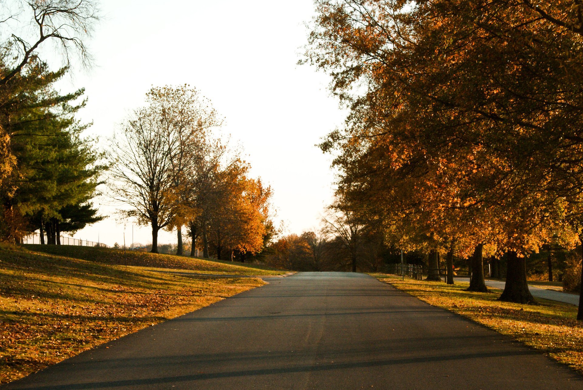 Colores de otoño