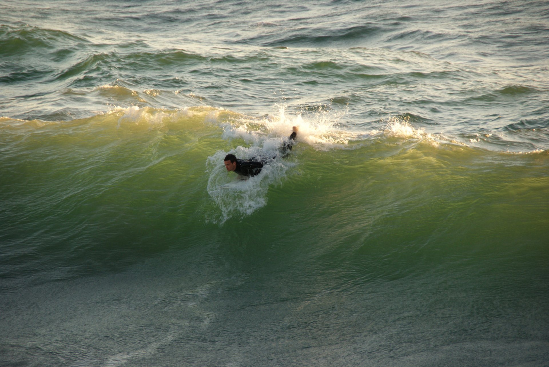 Surfing 