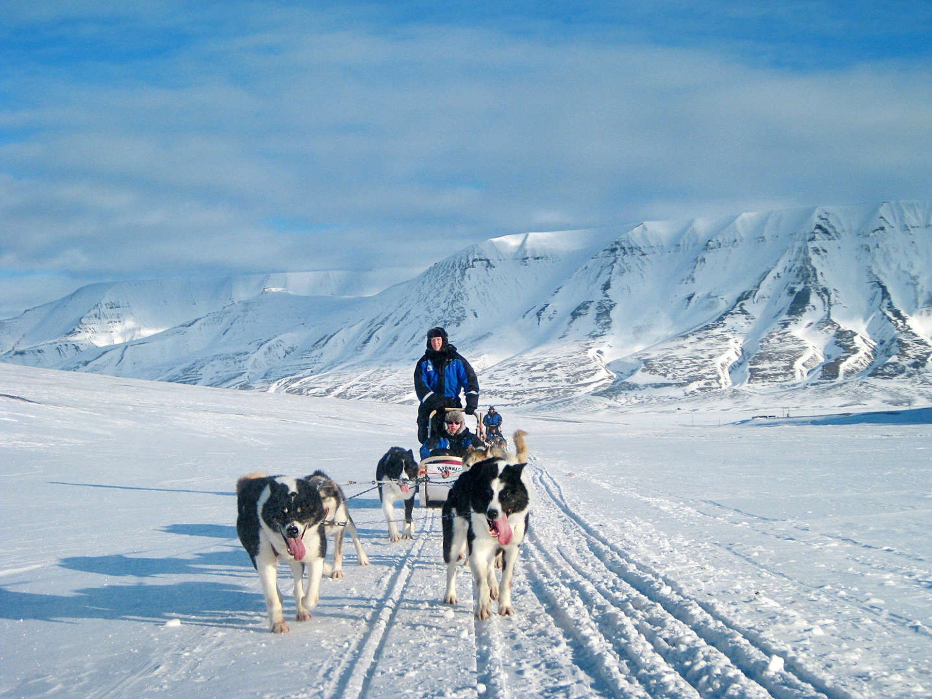 Slitte trainate da cani in Svalbard, 2023