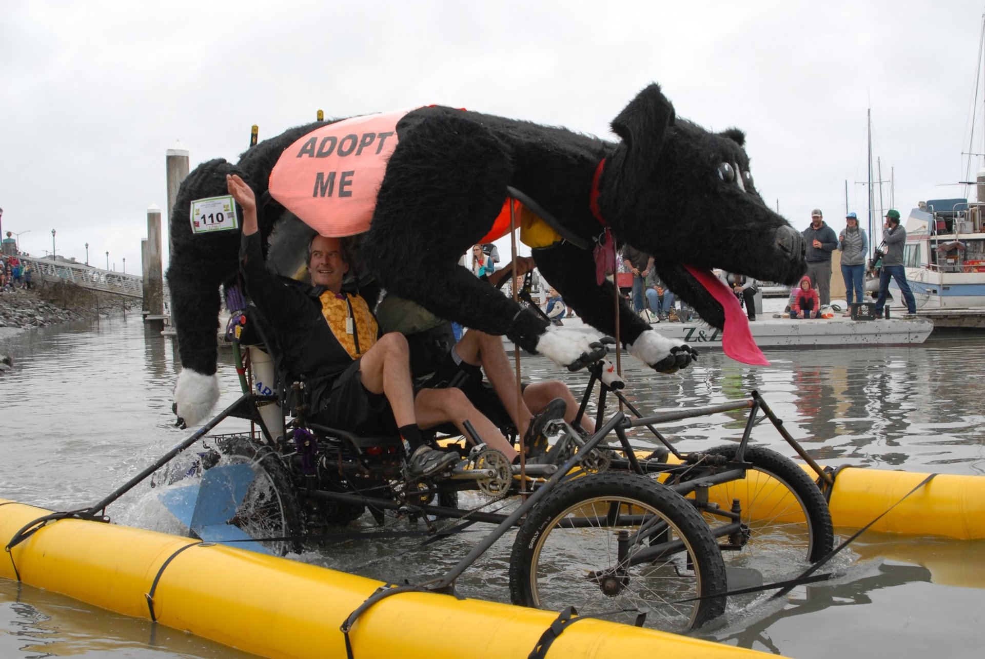 Kinetic Grand Championship