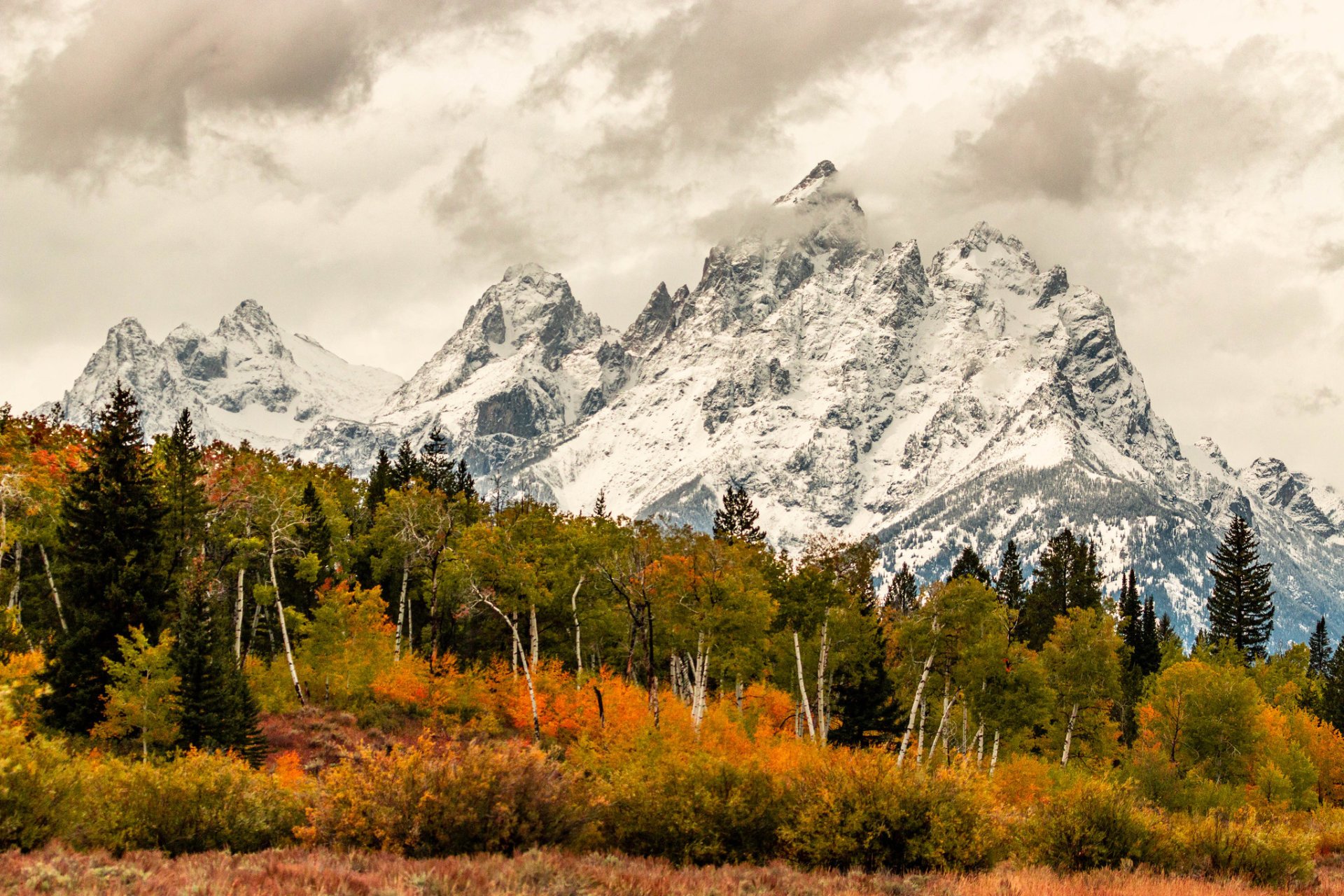 Couleurs d'automne de Grand Teton