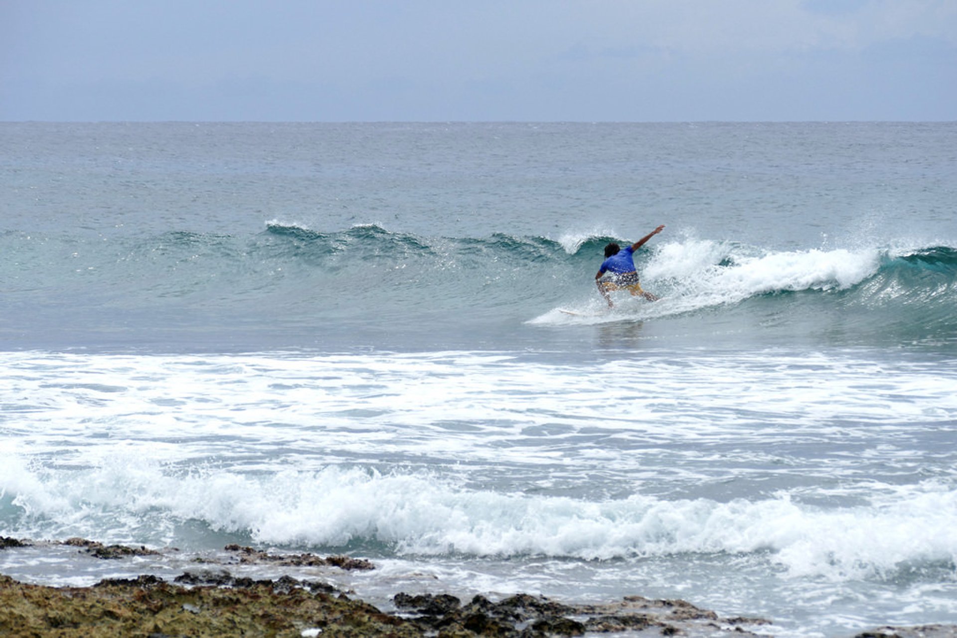 Surfen oder Wellenreiten