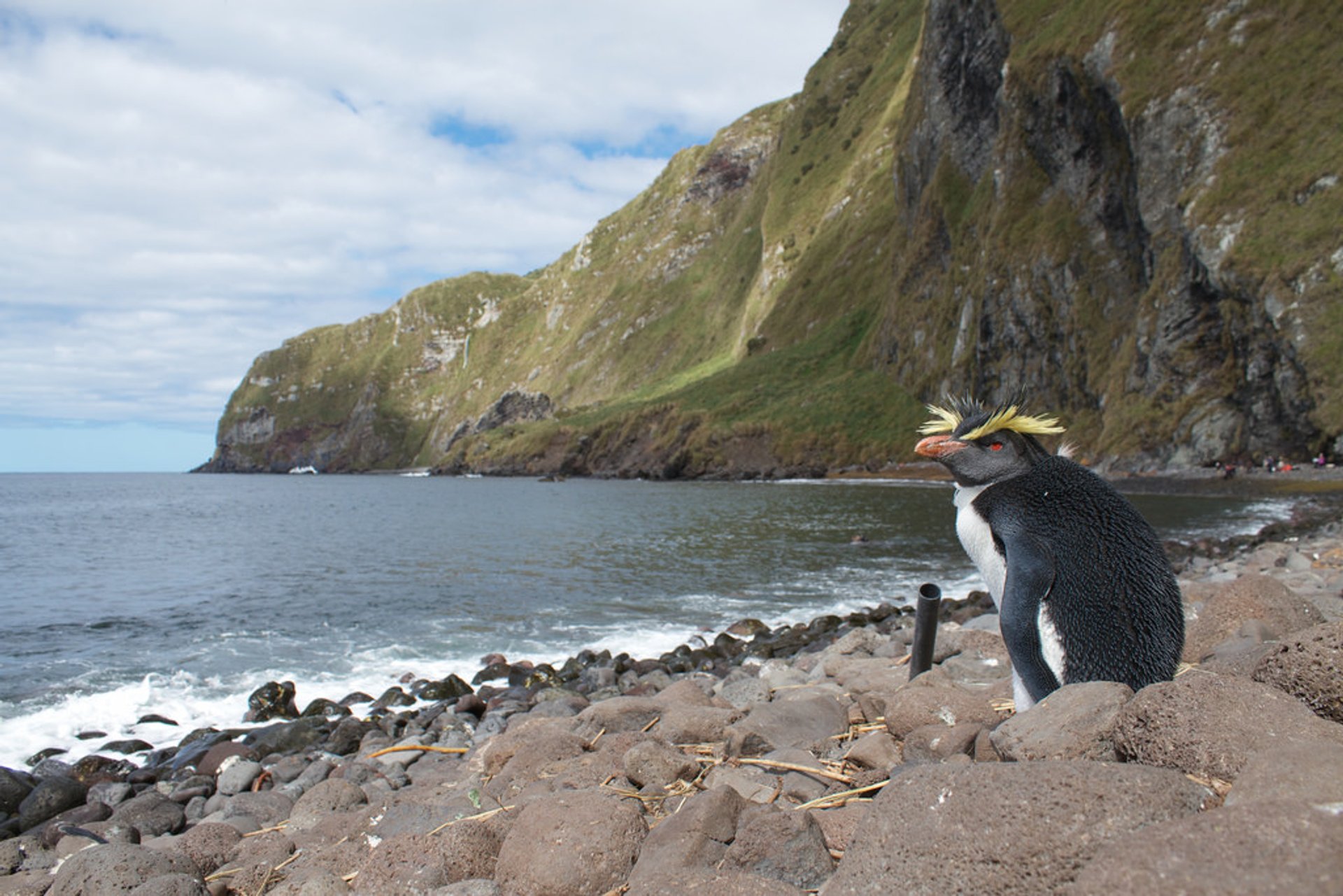 Best Time For Inaccessible Island In Argentina 2023 Best Season