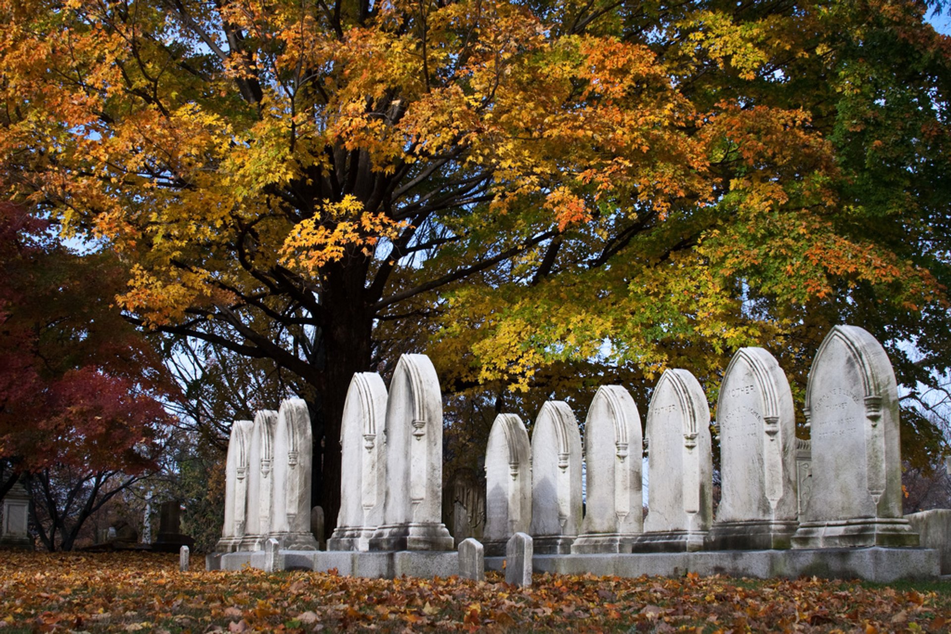 Fogliame autunno a Boston e dintorni