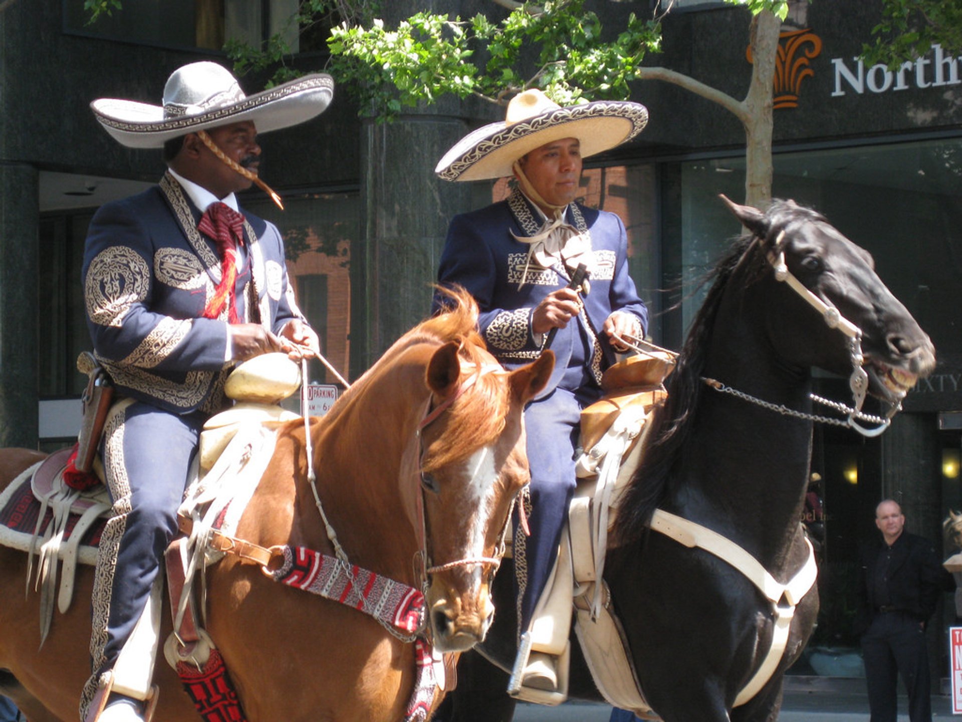 Mexican Cowboys compete in our National Sport La Charreria Stock Photo  Picture And Rights Managed Image Pic Z8F2250393  agefotostock