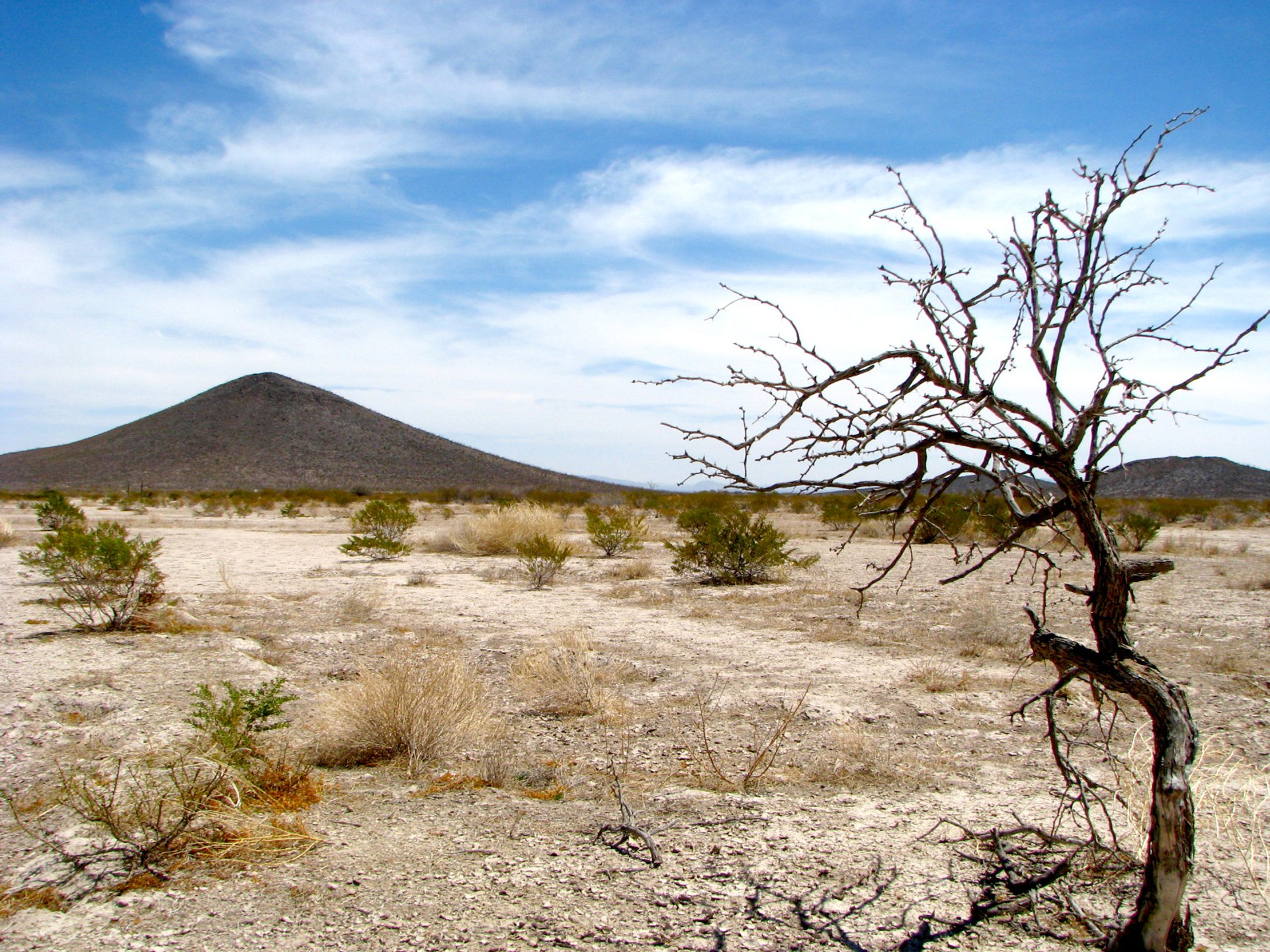 Zona silenziosa di Mapimí