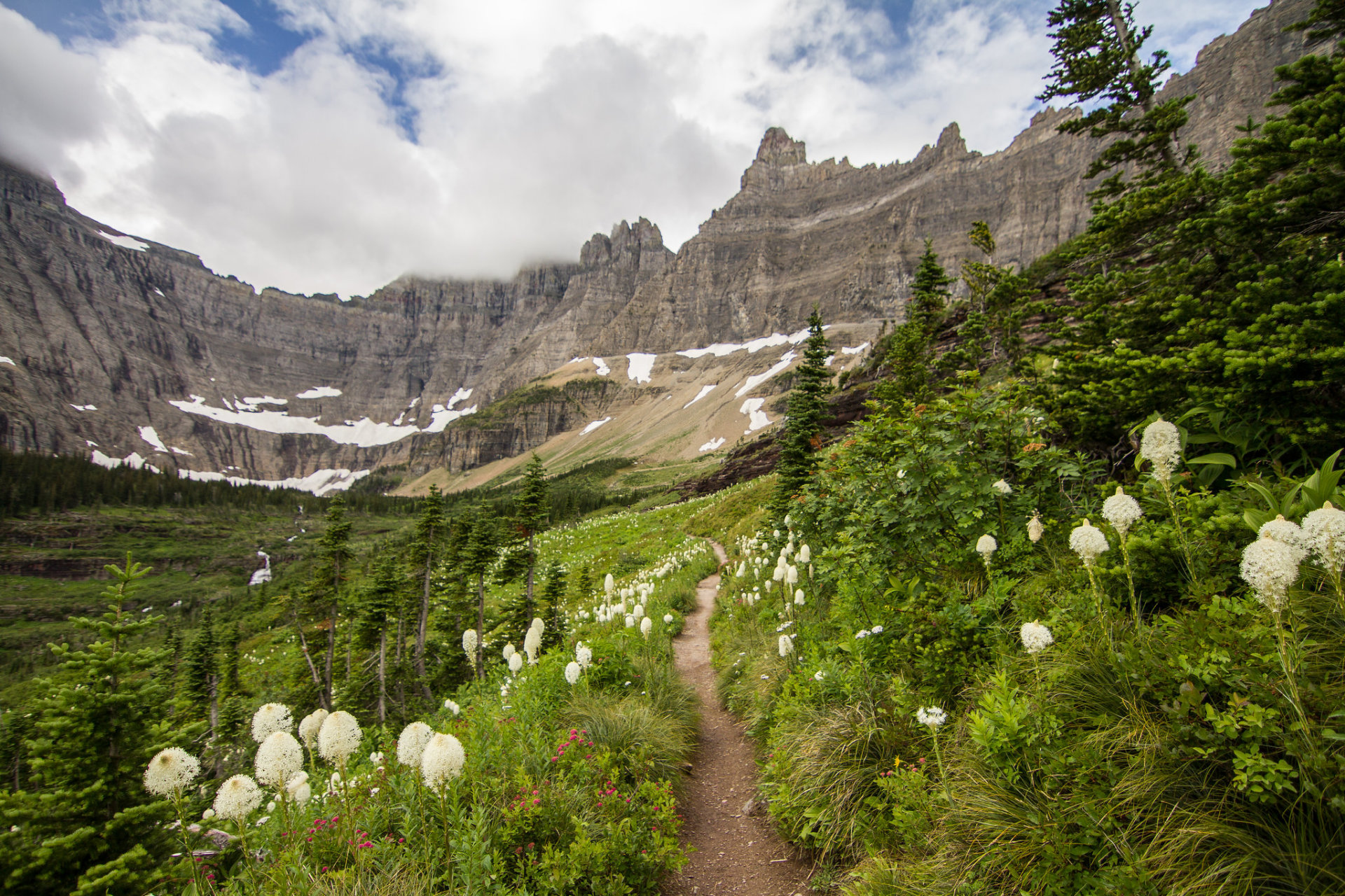 Parque Nacional Glaciar Flores Selvagens