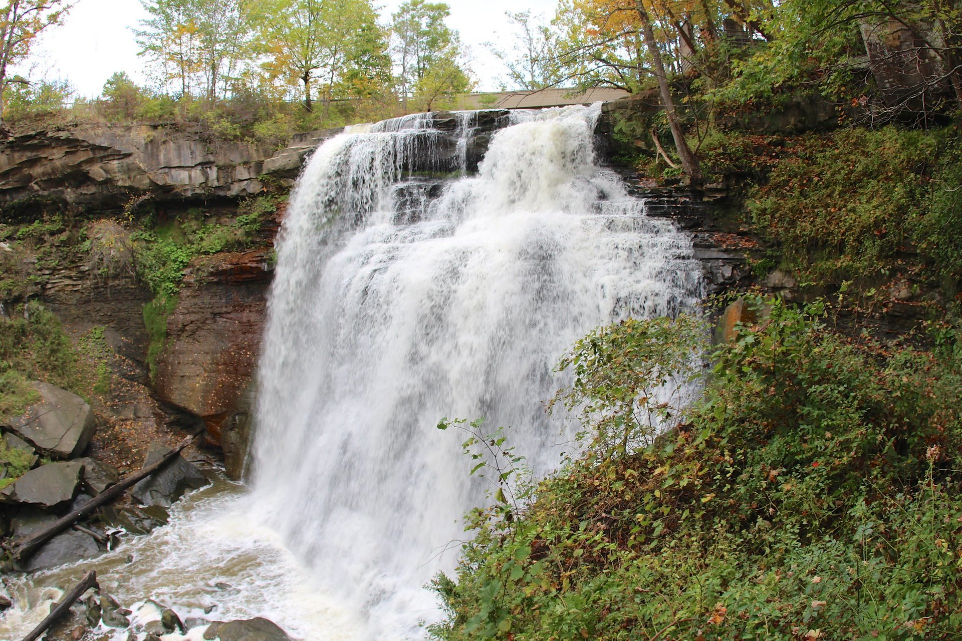 Brandywine Falls in Ohio 2024 Rove.me