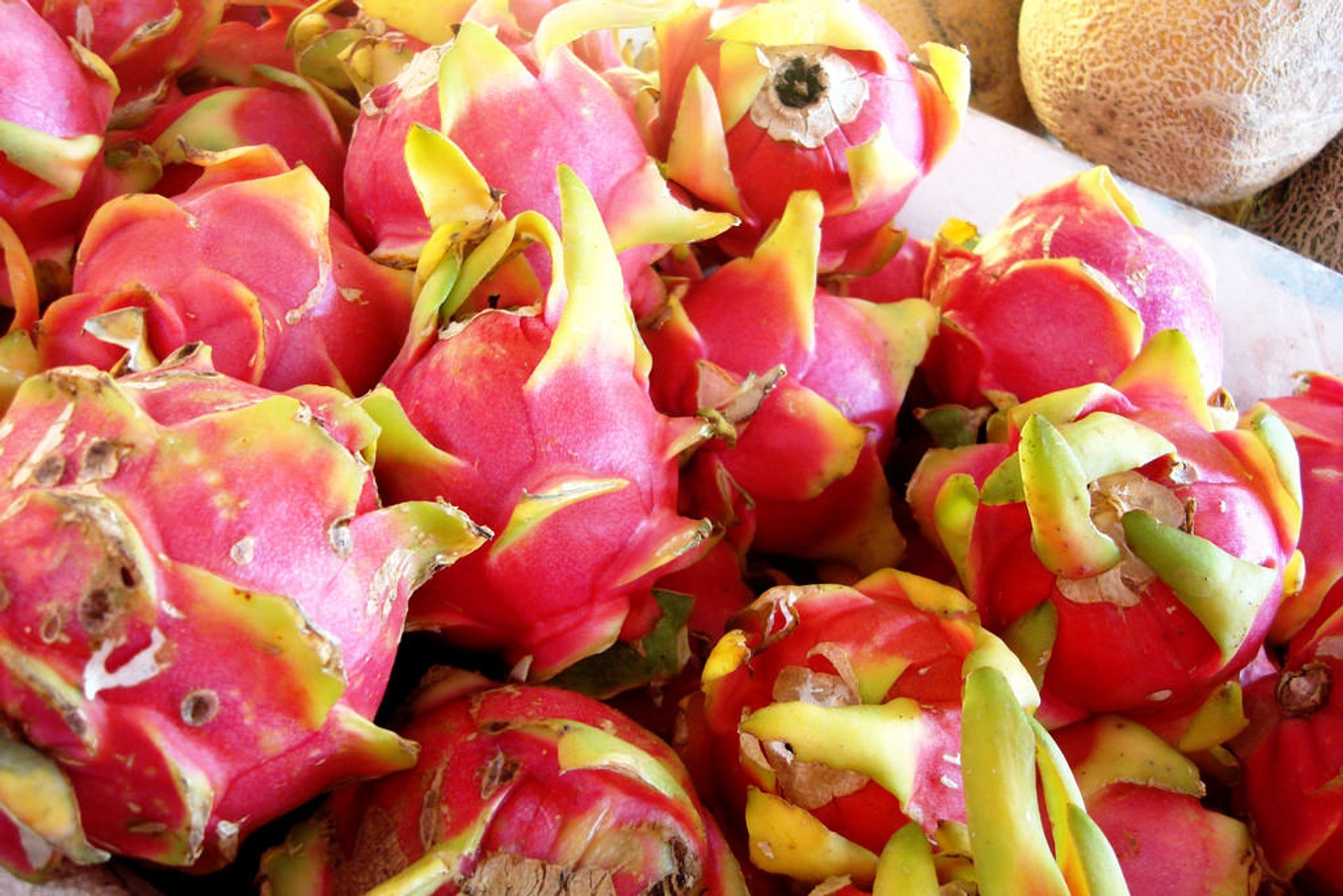 Fruta de Dragón o Pitaya