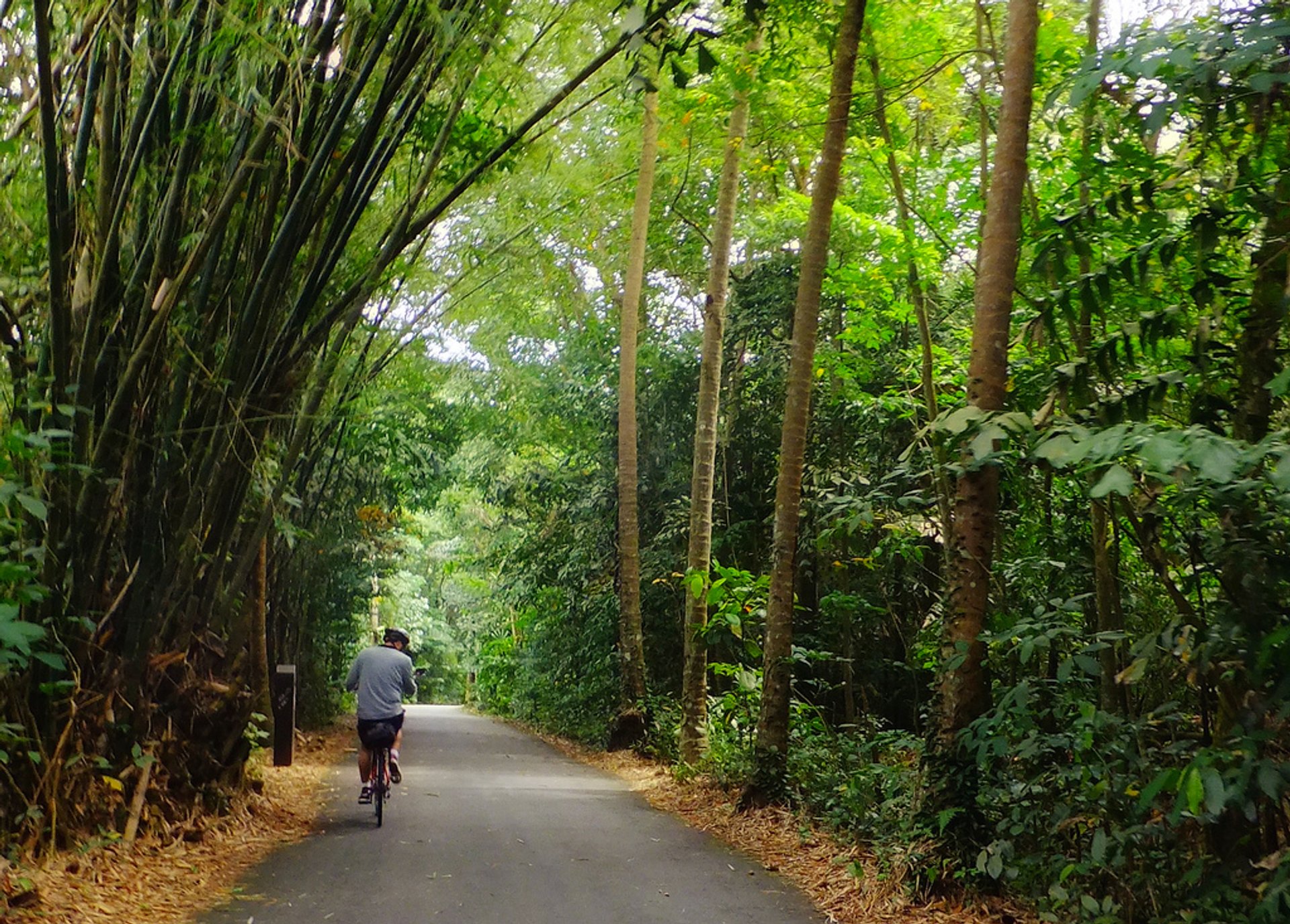 Fahrradfahren auf Pulau Ubin