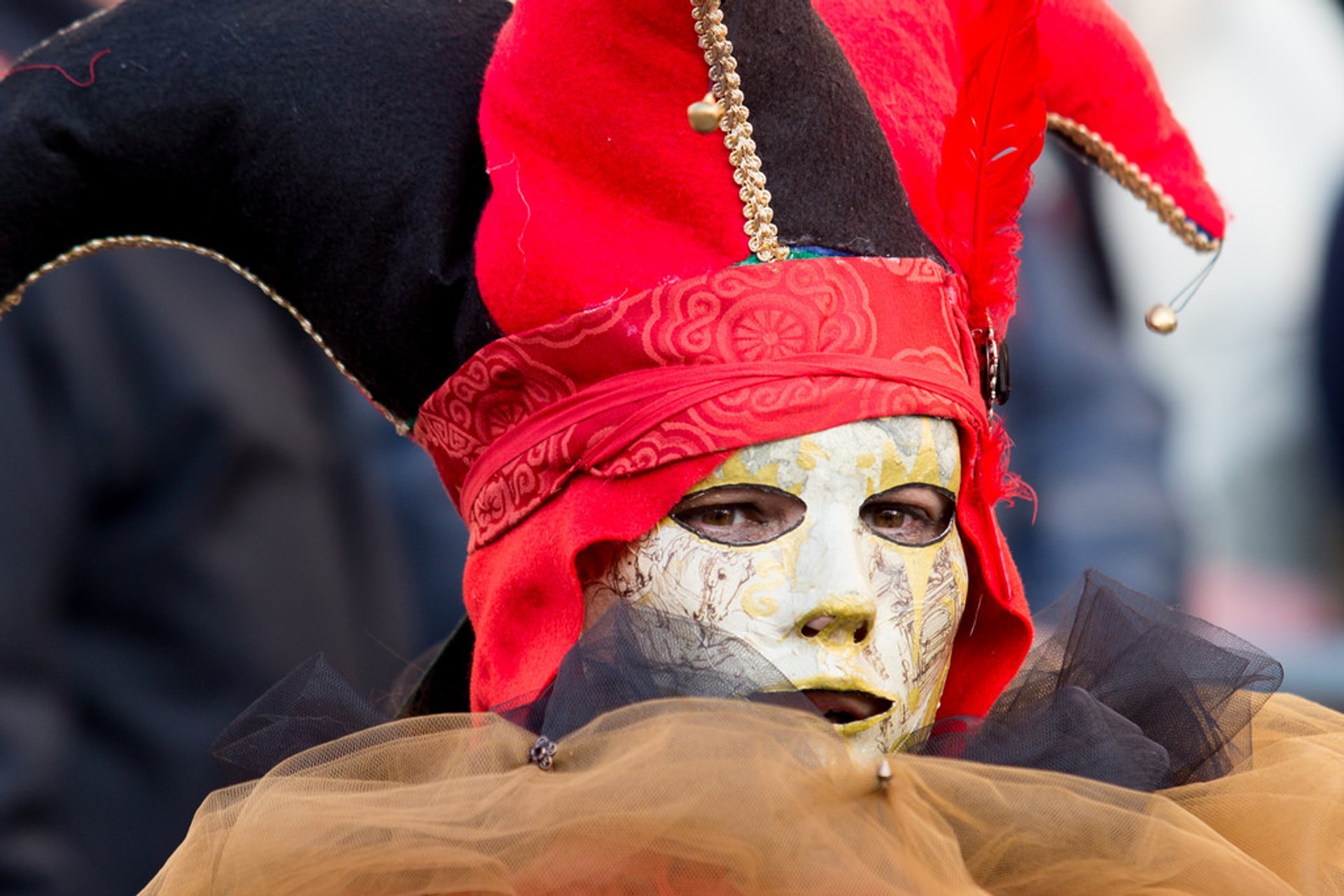 Carnevale di Roma 2024 in Rome - Dates