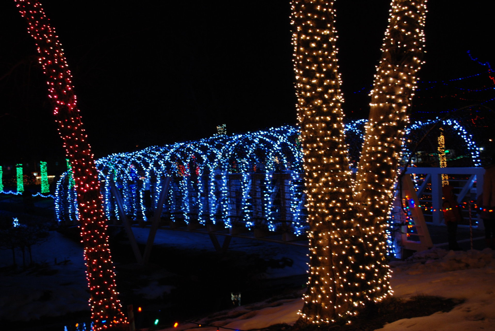 Rhema Christmas Lights