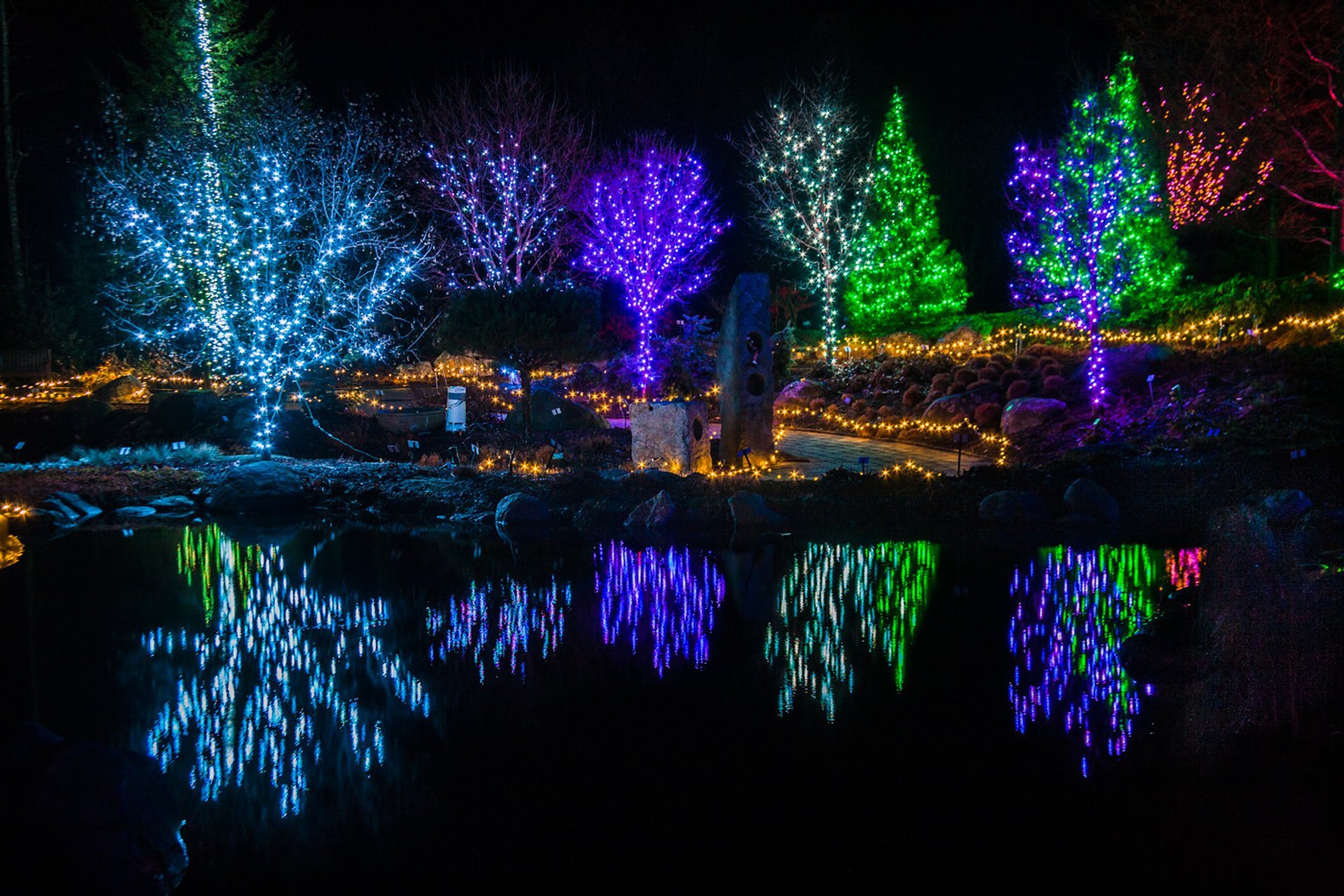 Luces de Navidad