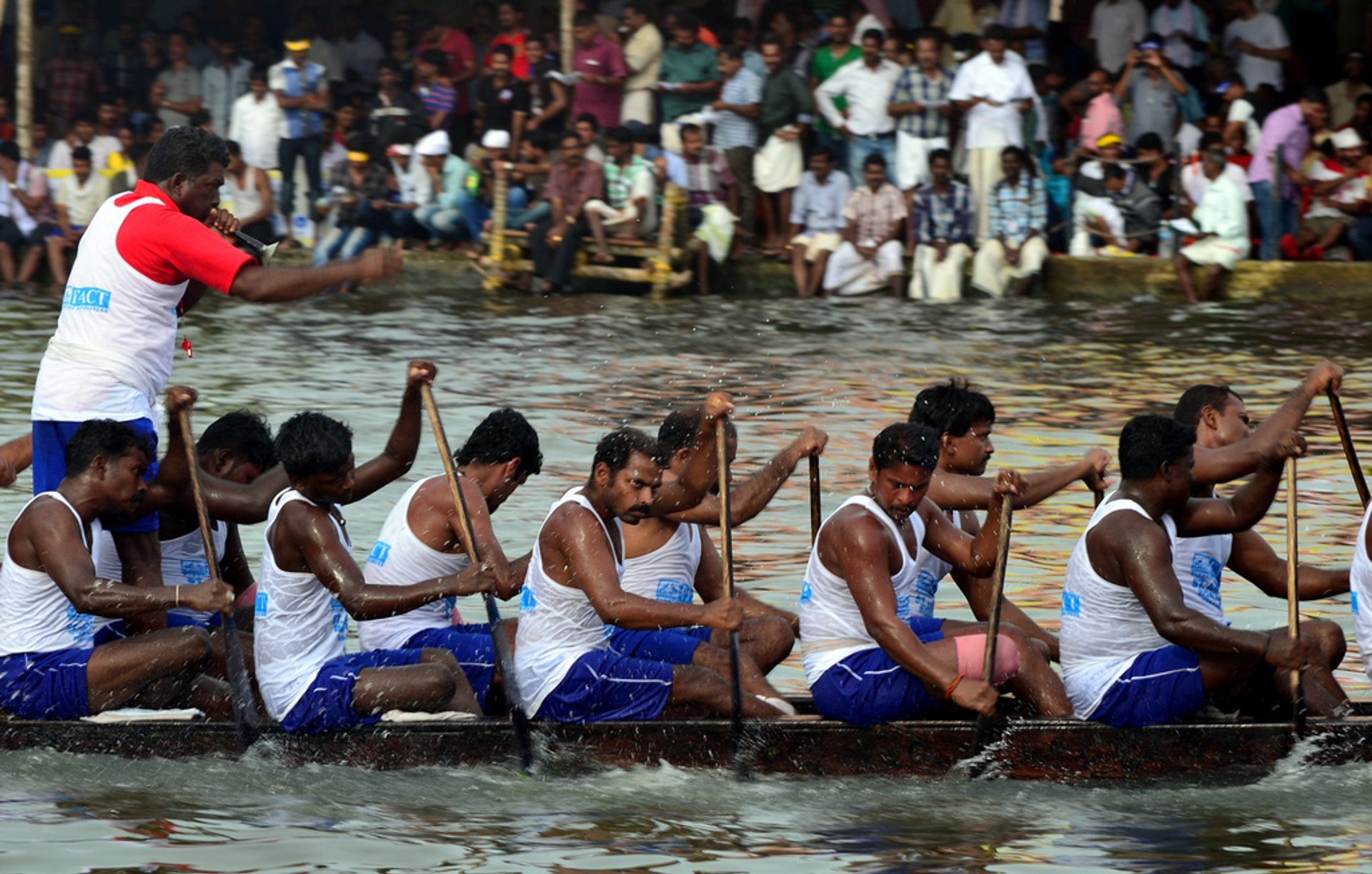 Carreras de Chundan Vallam (Vallam Kali)