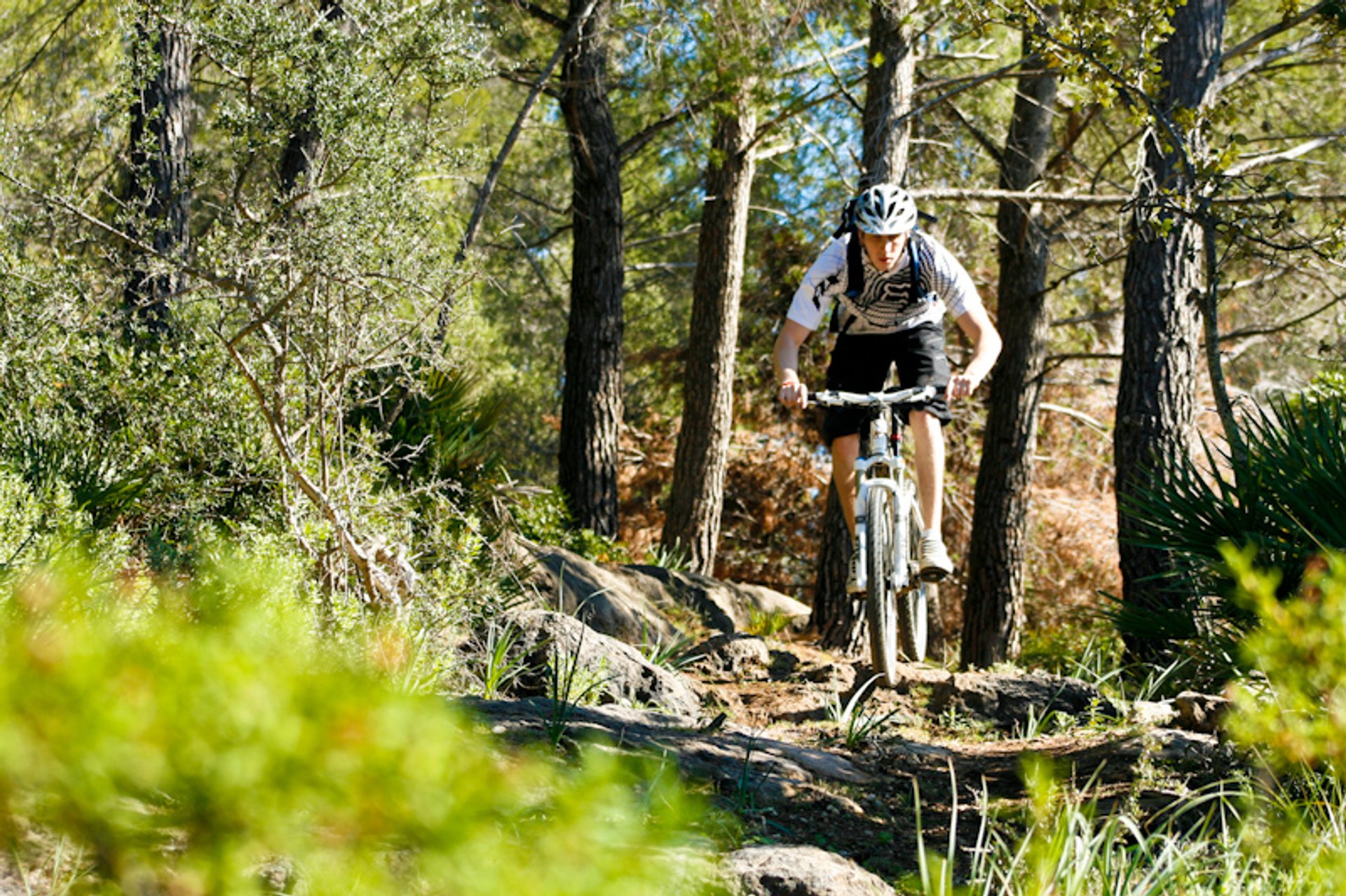 Mountainbike (Bergfahrrad)