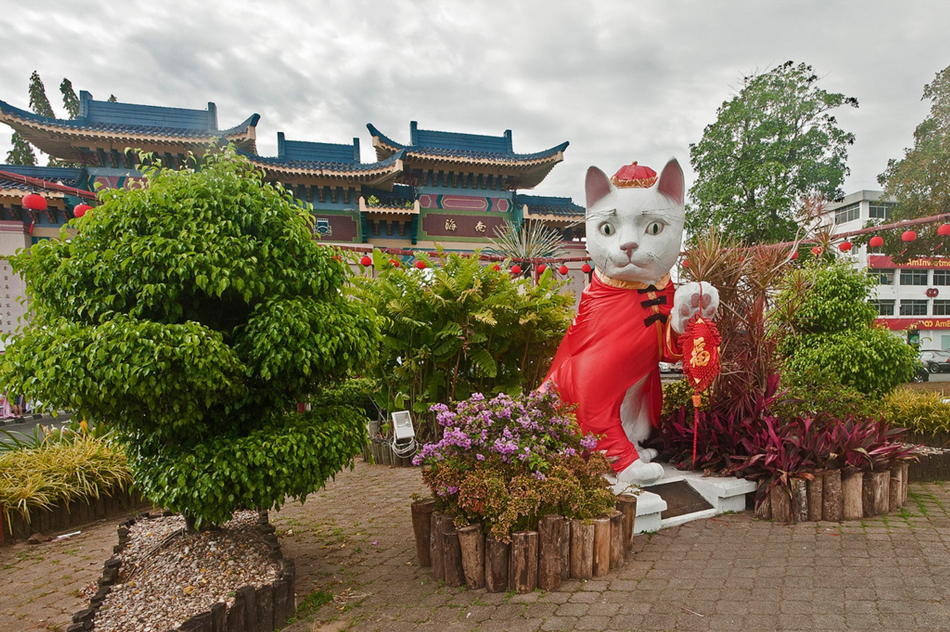 Kuching Katze Stadt