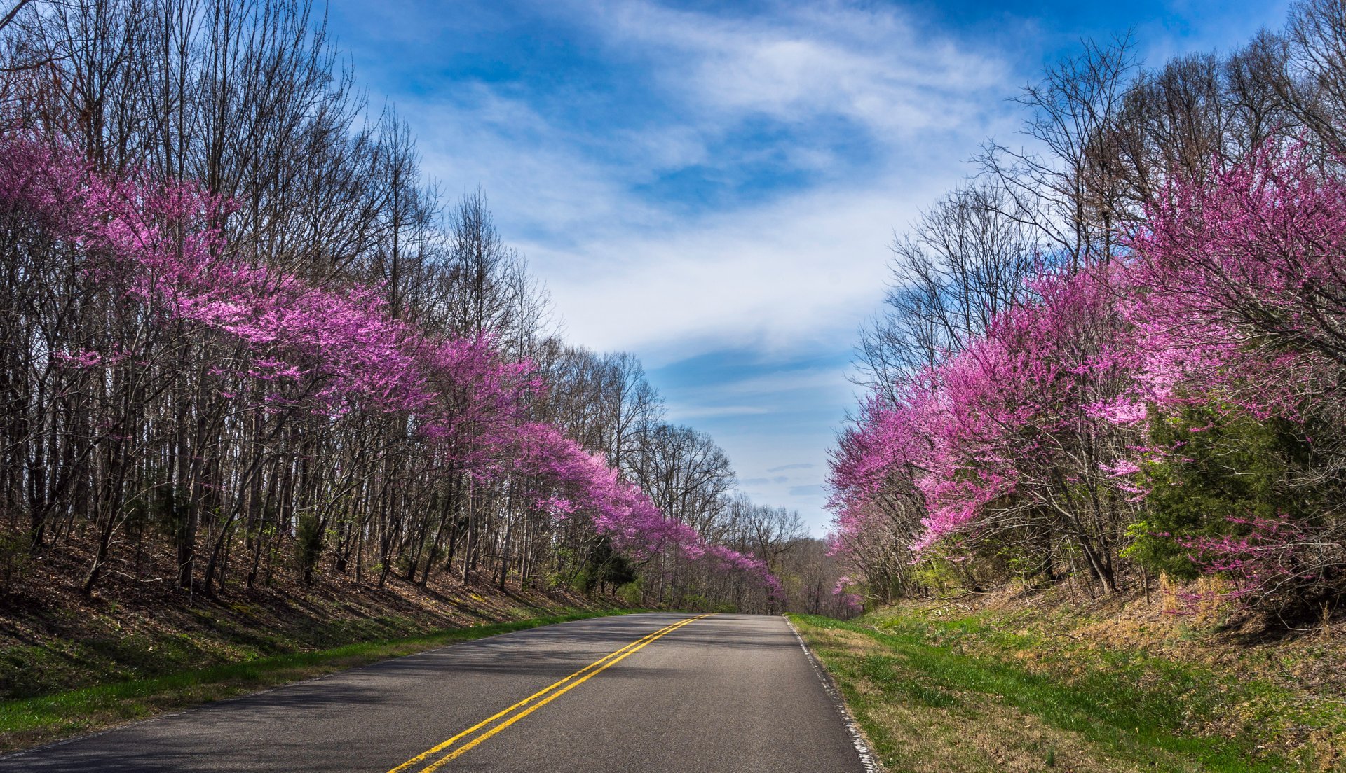 Natchez Trace Parkway