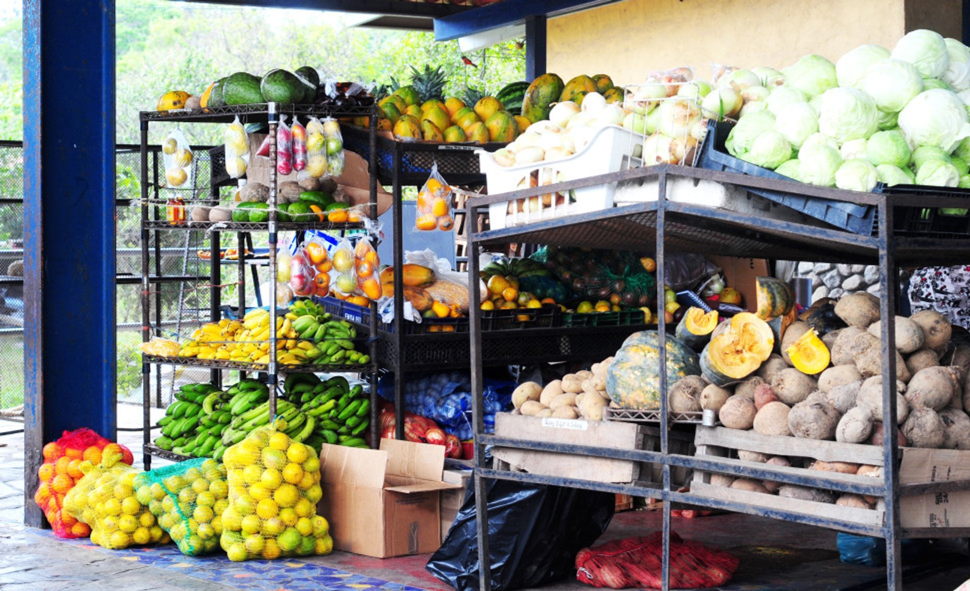 Temporada de las frutas (temporada seca)