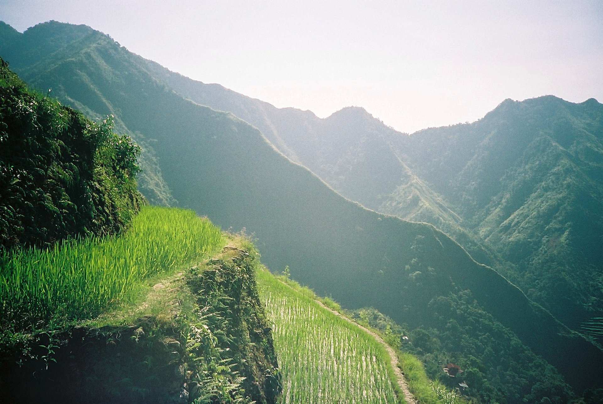 Banaue and Batad Rice Terraces