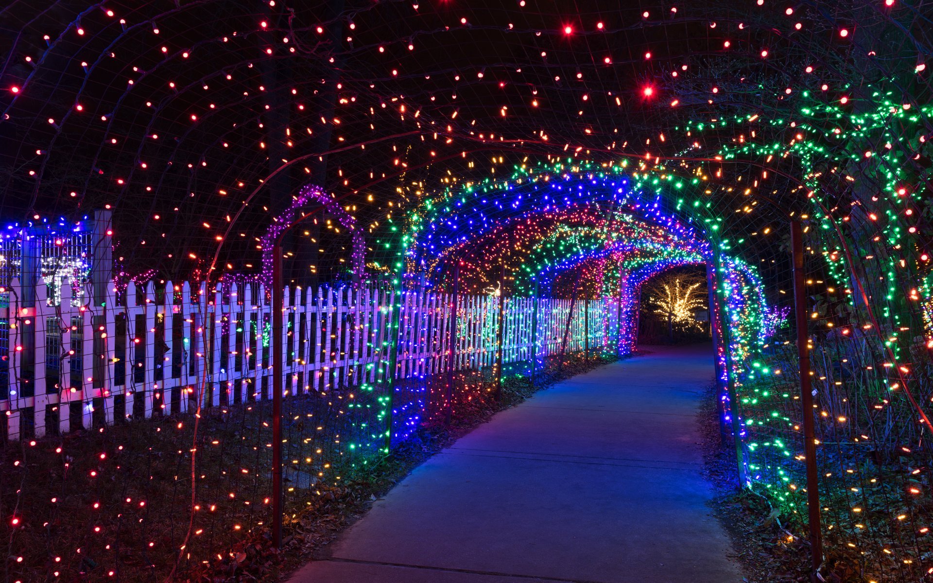 Luzes de Natal perto de Maryland