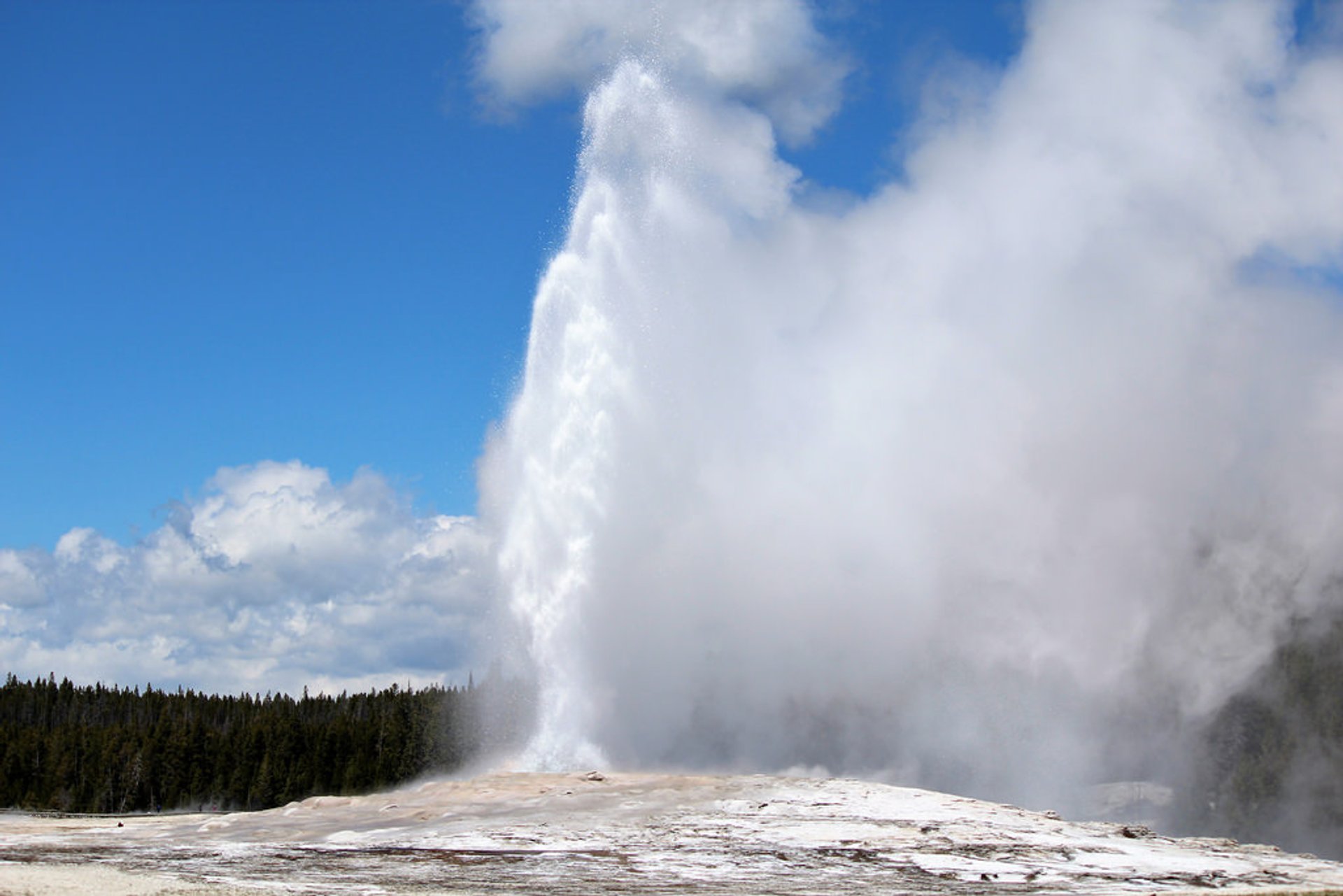 Old Faithful Geysir