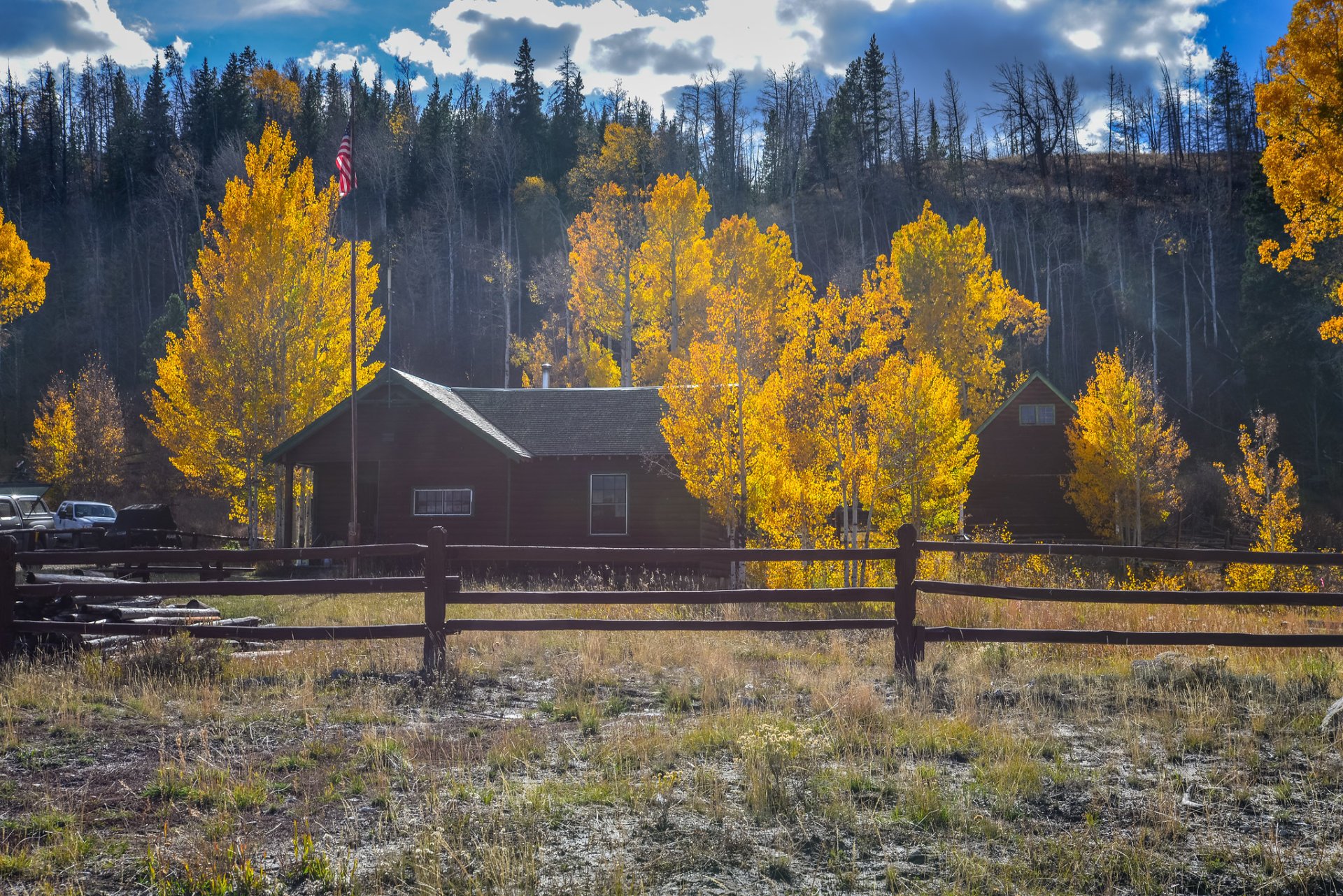 Herbstlaub in Wyoming 