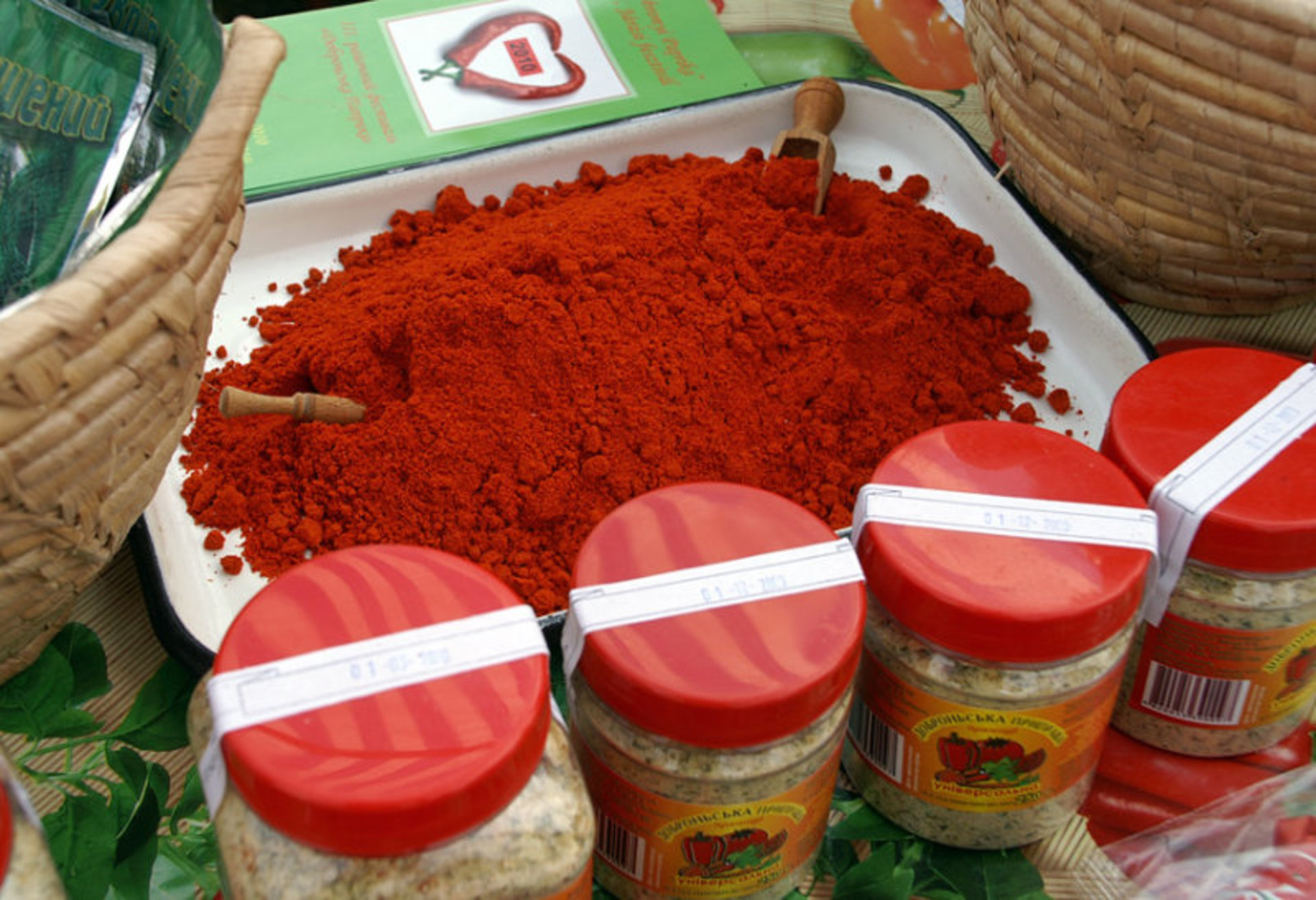 Récolte de paprika doux