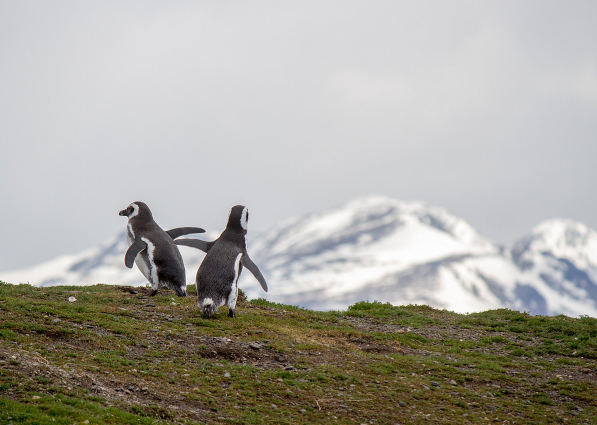 Tierra del Fuego