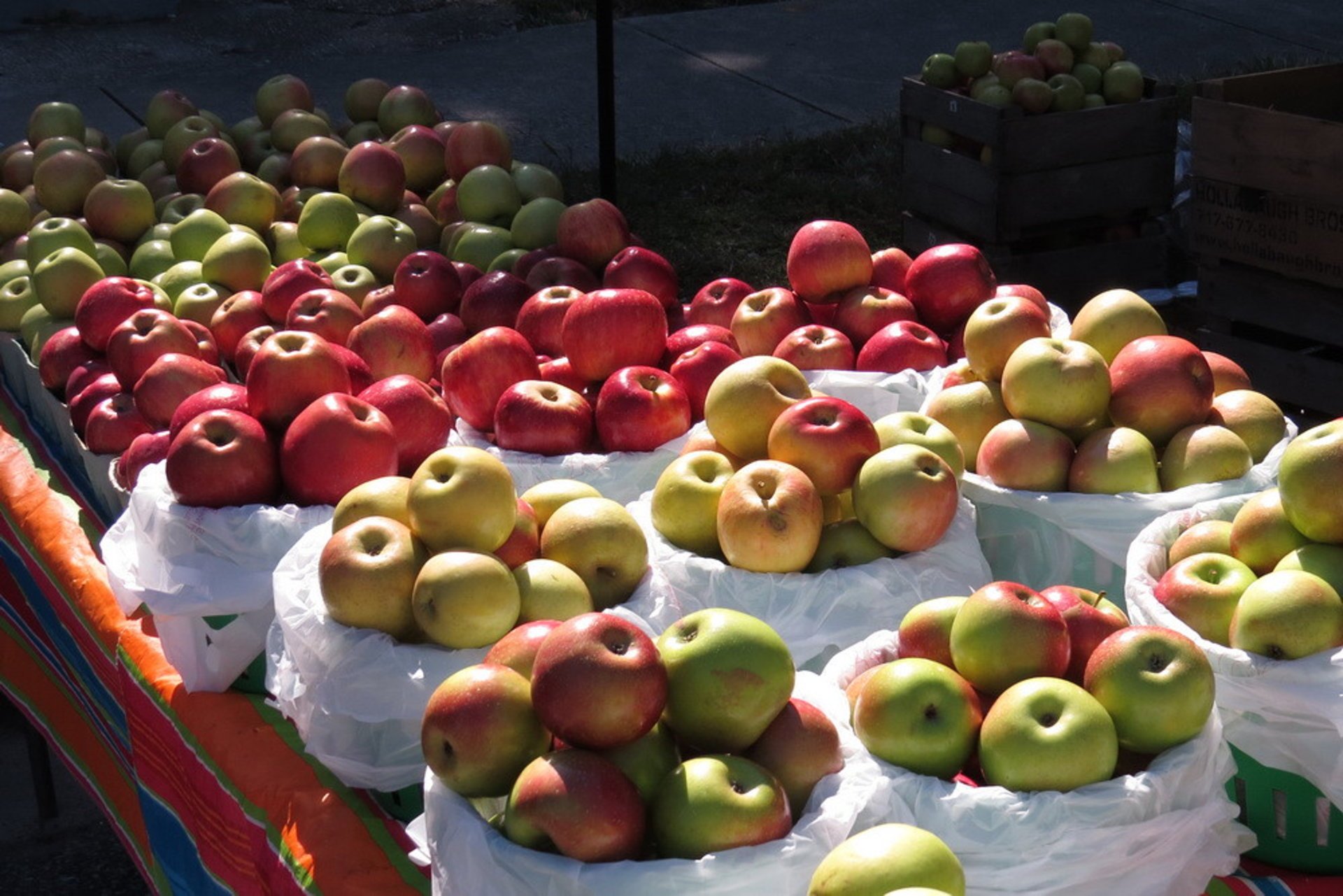 Bridgeville AppleScrapple Festival 2024 in Delaware Rove.me