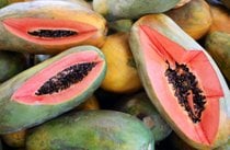 Papaya-Saison