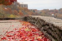 Cincinnati Herbstfarben